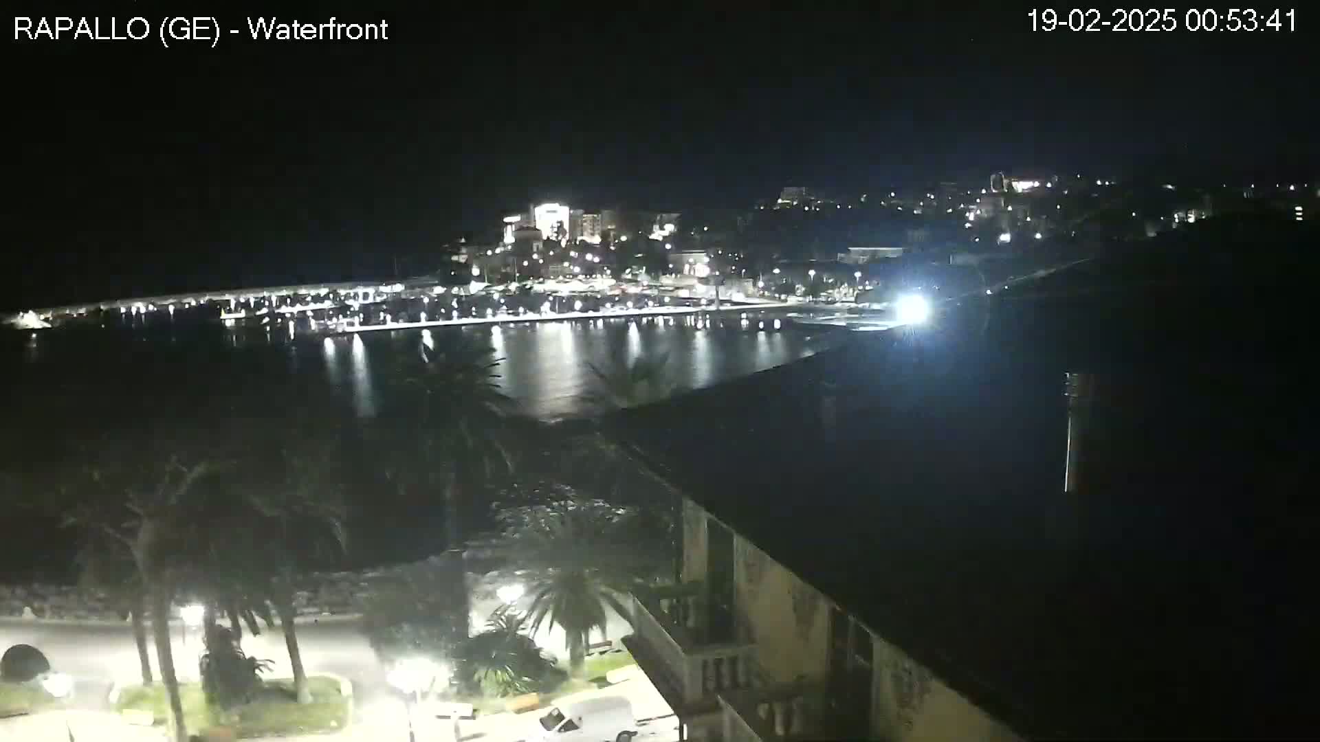 A nighttime view of a waterfront town shows a calm body of water reflecting the lights of buildings and boats, with palm trees lining the shore.