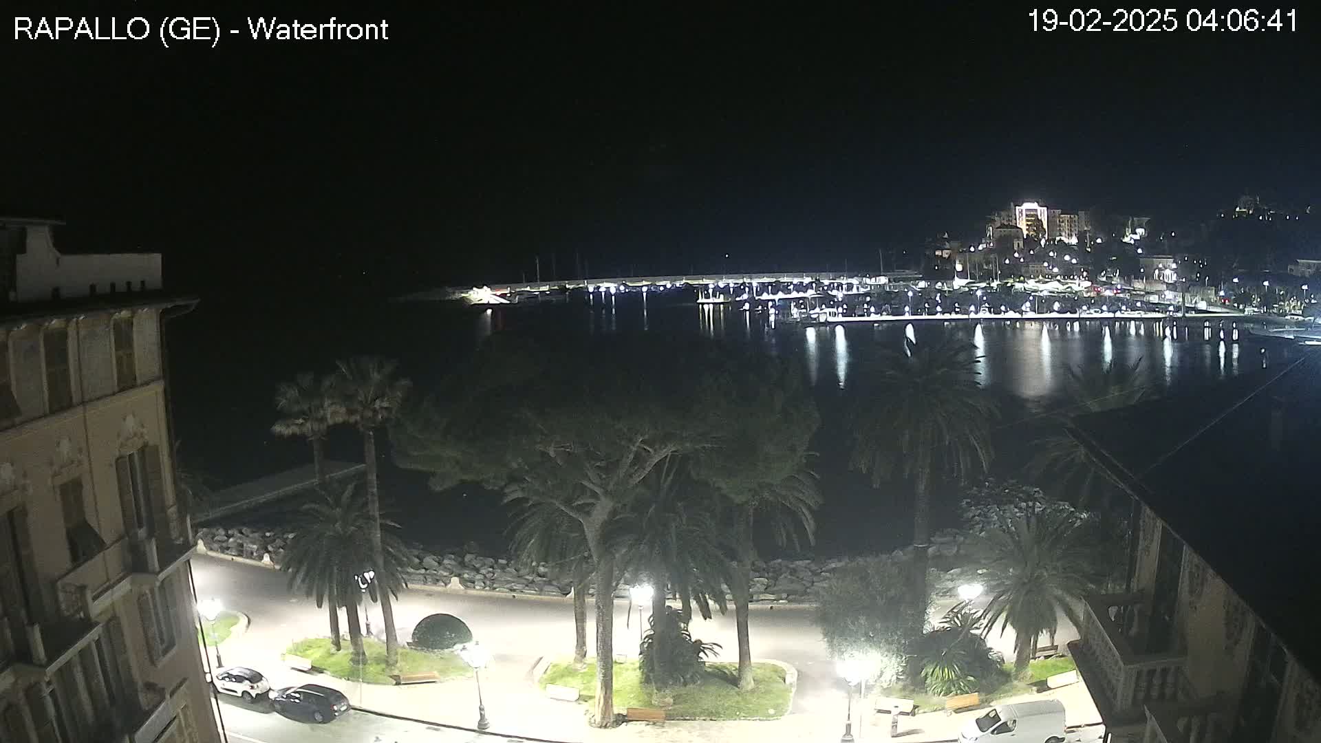 A nighttime view of a calm harbor filled with boats, bordered by palm trees and buildings with lights illuminating a waterfront promenade.