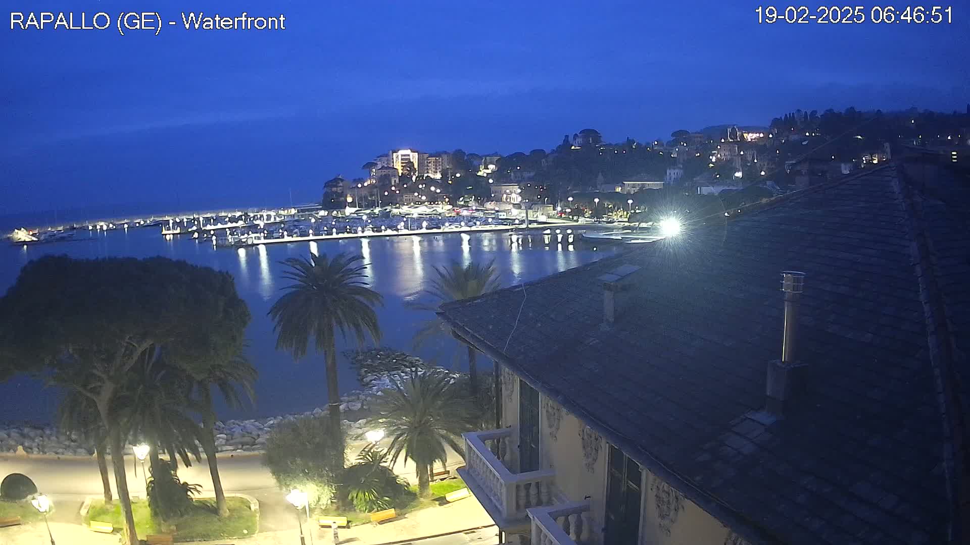 A nighttime view of a harbor filled with boats, a town illuminated on a hill overlooking the water, and palm trees lining a waterfront walkway under a clear, dark blue sky.