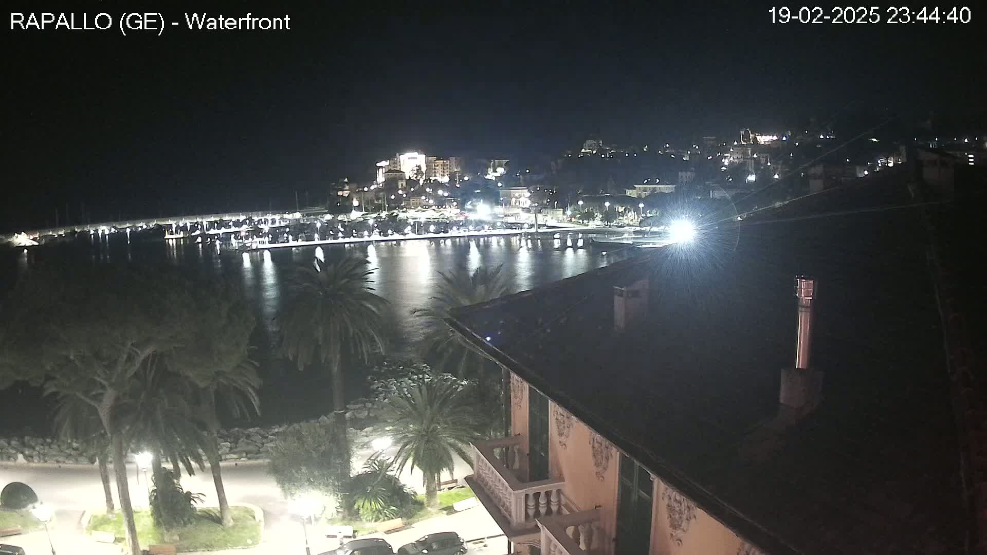 A nighttime view of a harbor filled with boats, a town lit up on a hill, and palm trees lining a waterfront promenade under a clear, dark sky.