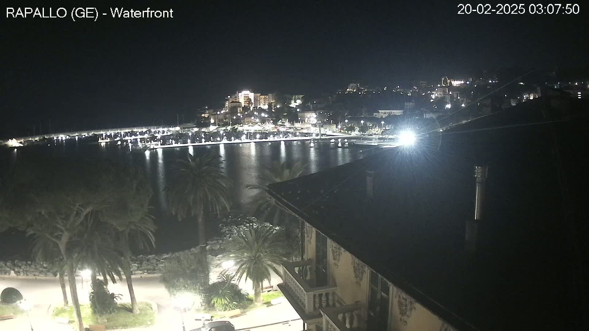 A nighttime view of a calm harbor with a town's lights illuminating the water and shoreline, seen from a vantage point above a building with palm trees in the foreground.