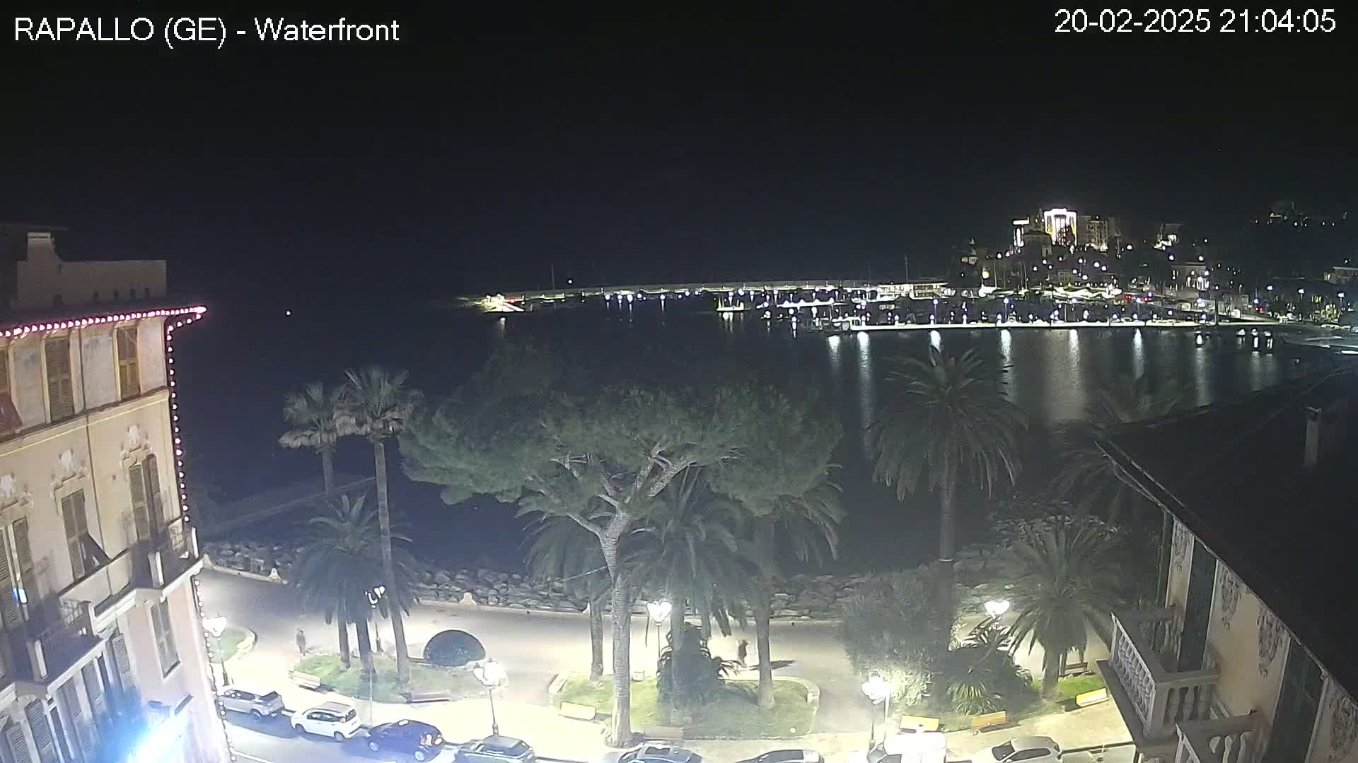 A nighttime view of a harbor filled with boats, bordered by palm trees and buildings with lights along a waterfront promenade.