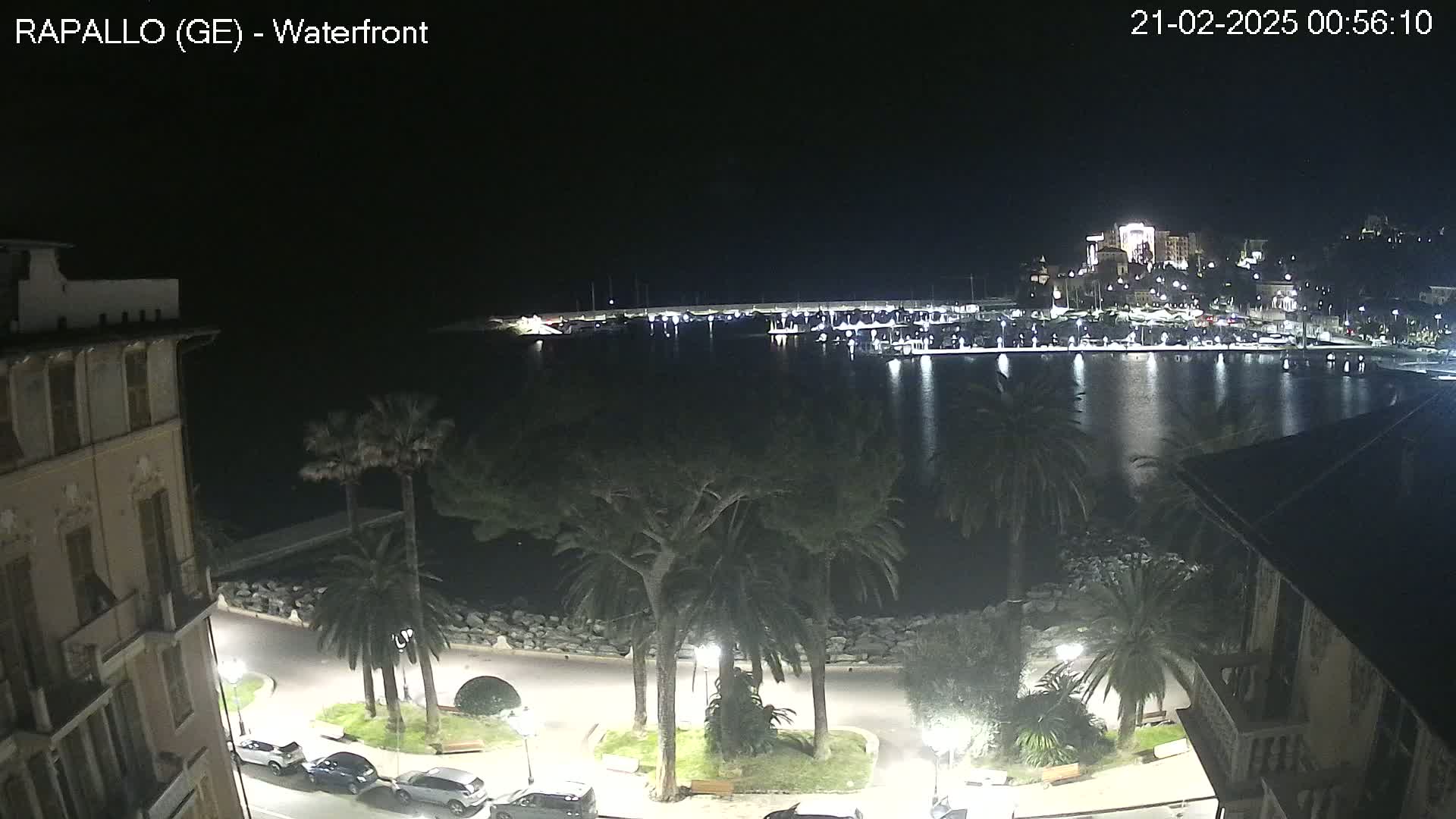 A nighttime view of a calm harbor with boats docked, illuminated buildings in the distance, and palm trees lining a waterfront promenade.