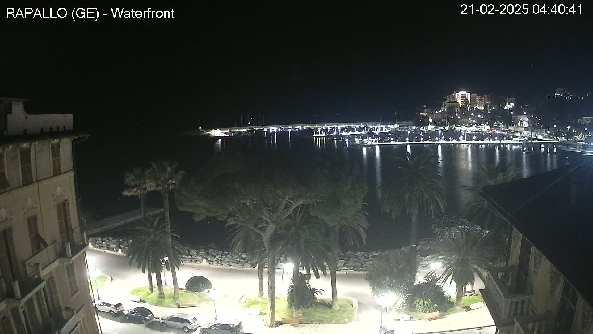 A nighttime view of a calm harbor filled with boats, lined by palm trees and buildings along a waterfront road.