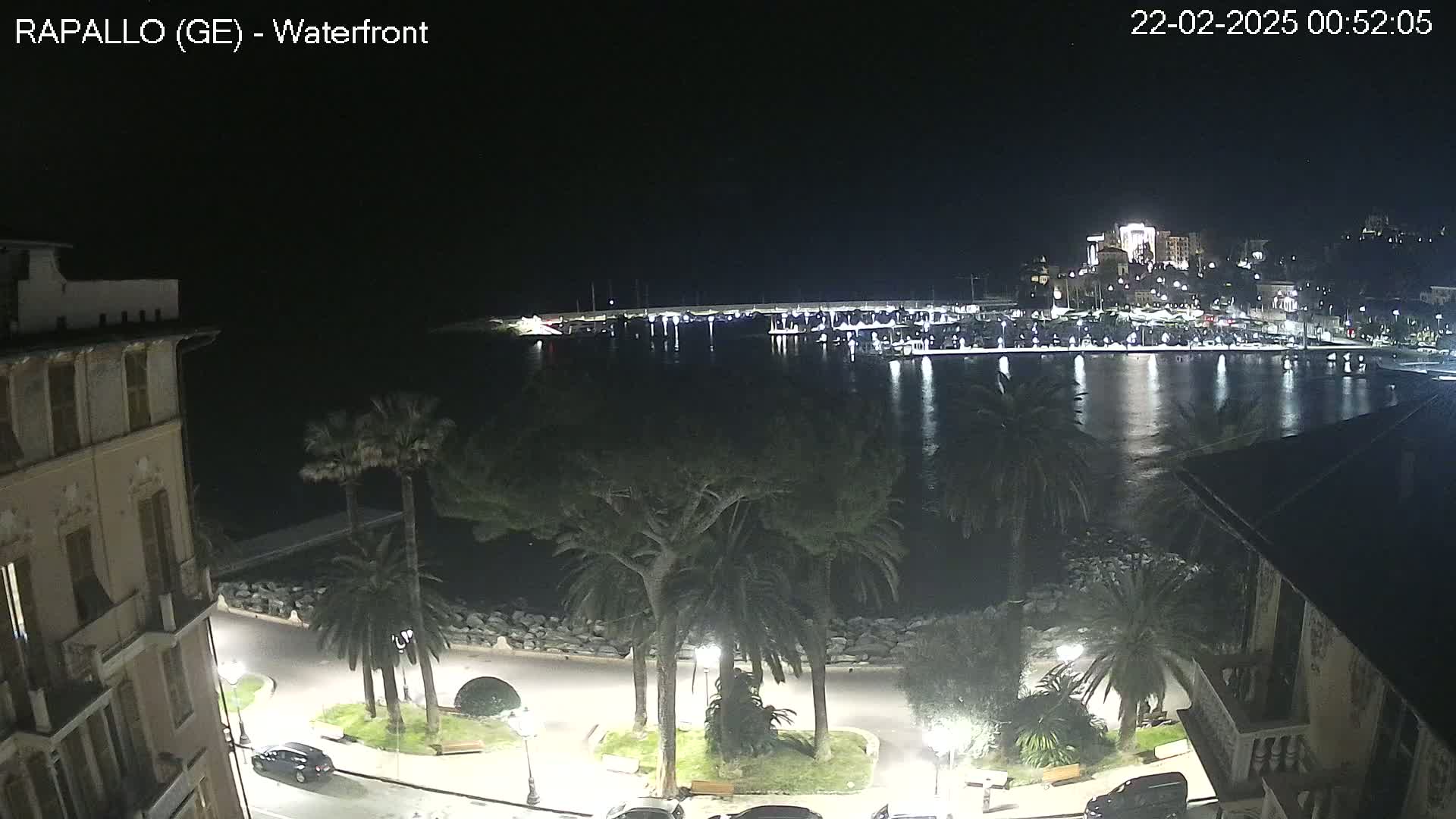 A nighttime waterfront scene shows a calm body of water reflecting city lights, palm trees lining a paved walkway, and buildings along the shore.