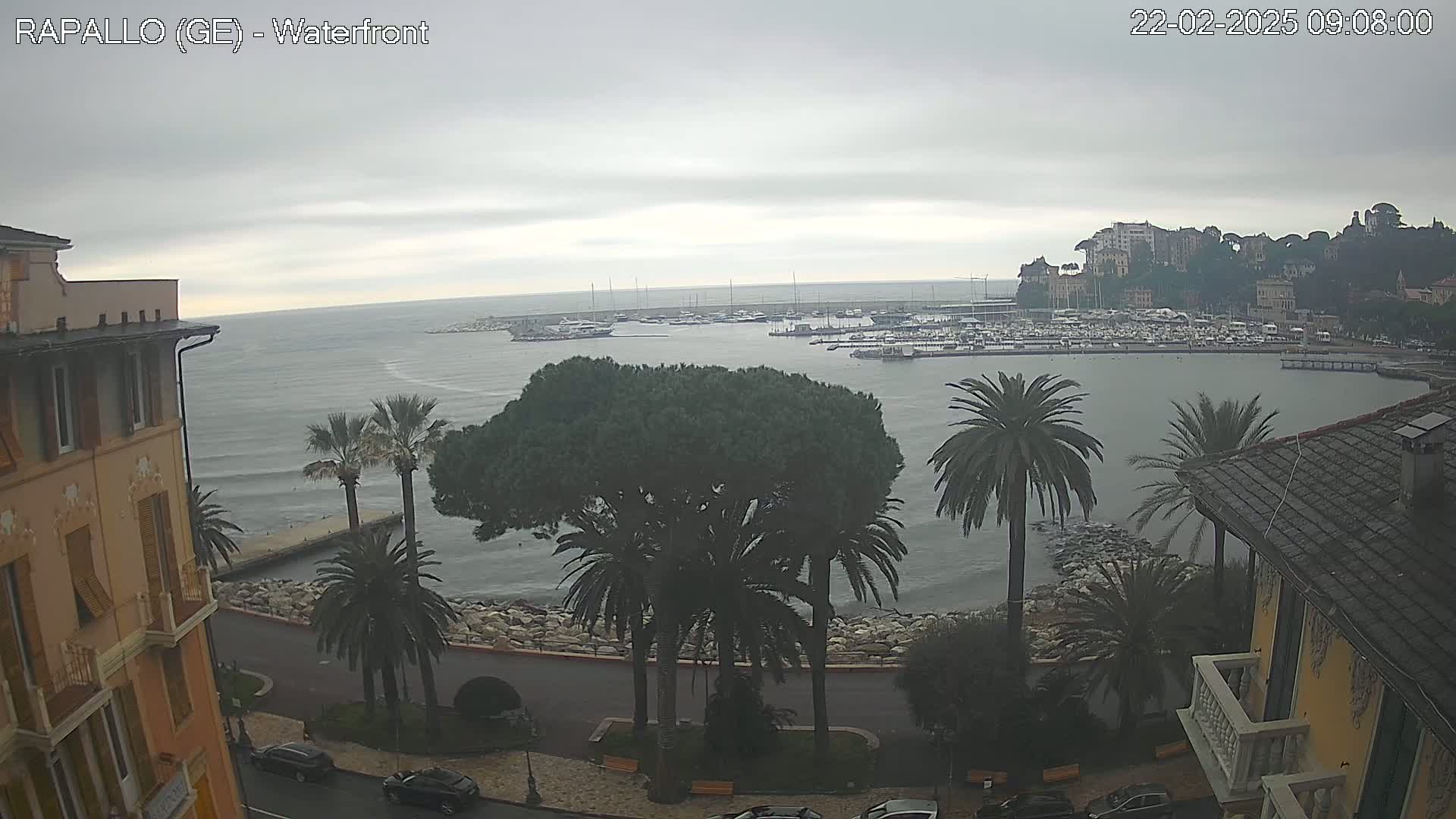 A waterfront view on an overcast day shows a harbor filled with boats, palm trees lining a roadway, and buildings along a hillside.