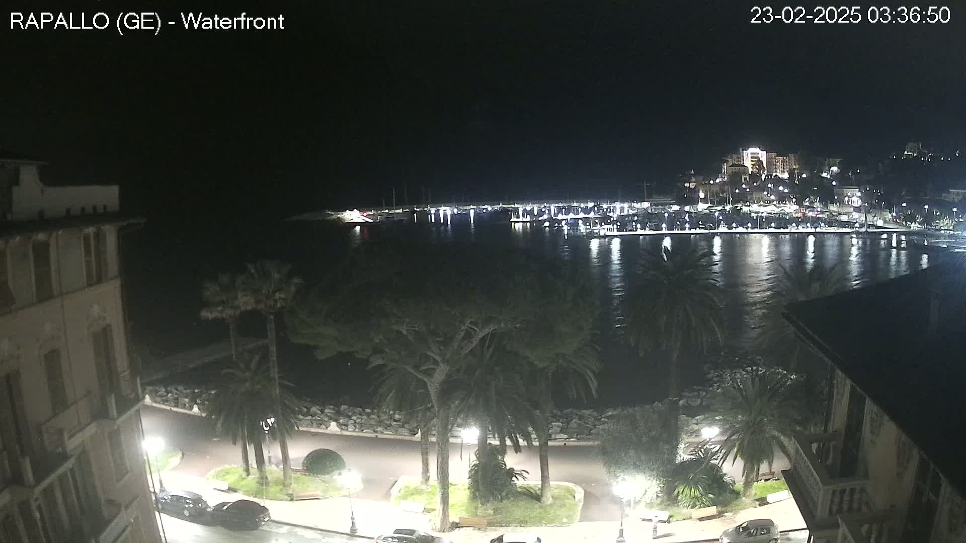 A nighttime view of a waterfront town with palm trees lining a paved road, a calm body of water reflecting lights from buildings and boats across the harbor.