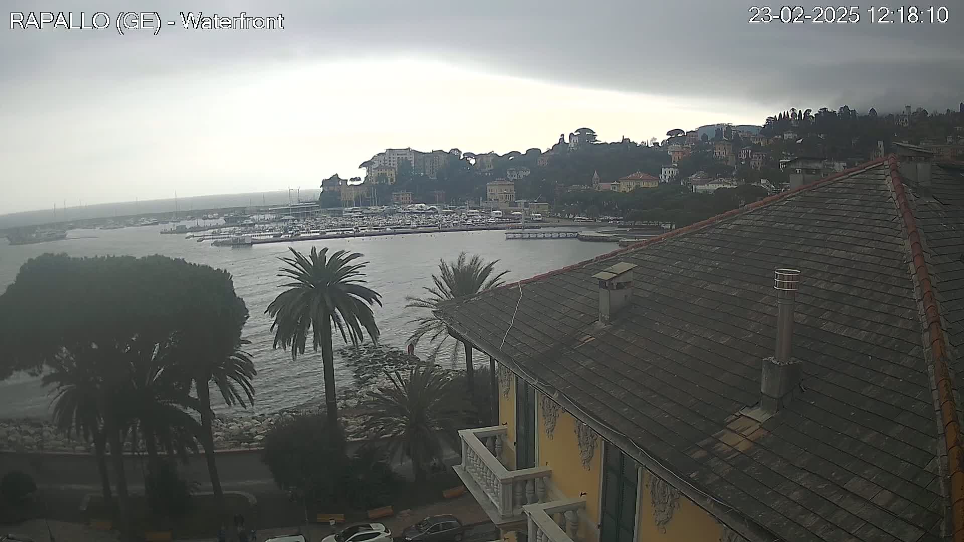 A waterfront view of a town on a cloudy day, showing a harbor filled with boats and buildings rising up a hillside, seen from a vantage point above a building with a dark tiled roof.