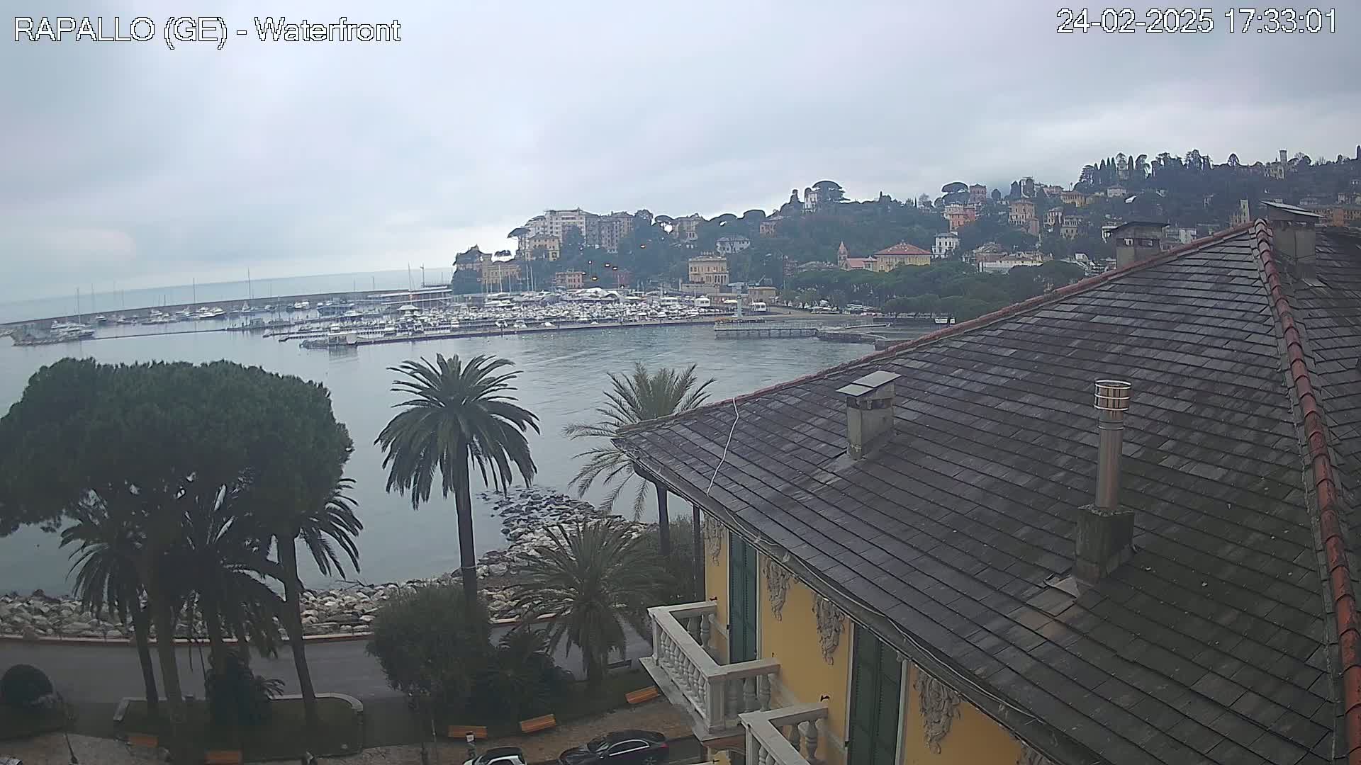 A view from a building's rooftop shows a harbor filled with boats, a hillside town under an overcast sky, and palm trees along a waterfront road.