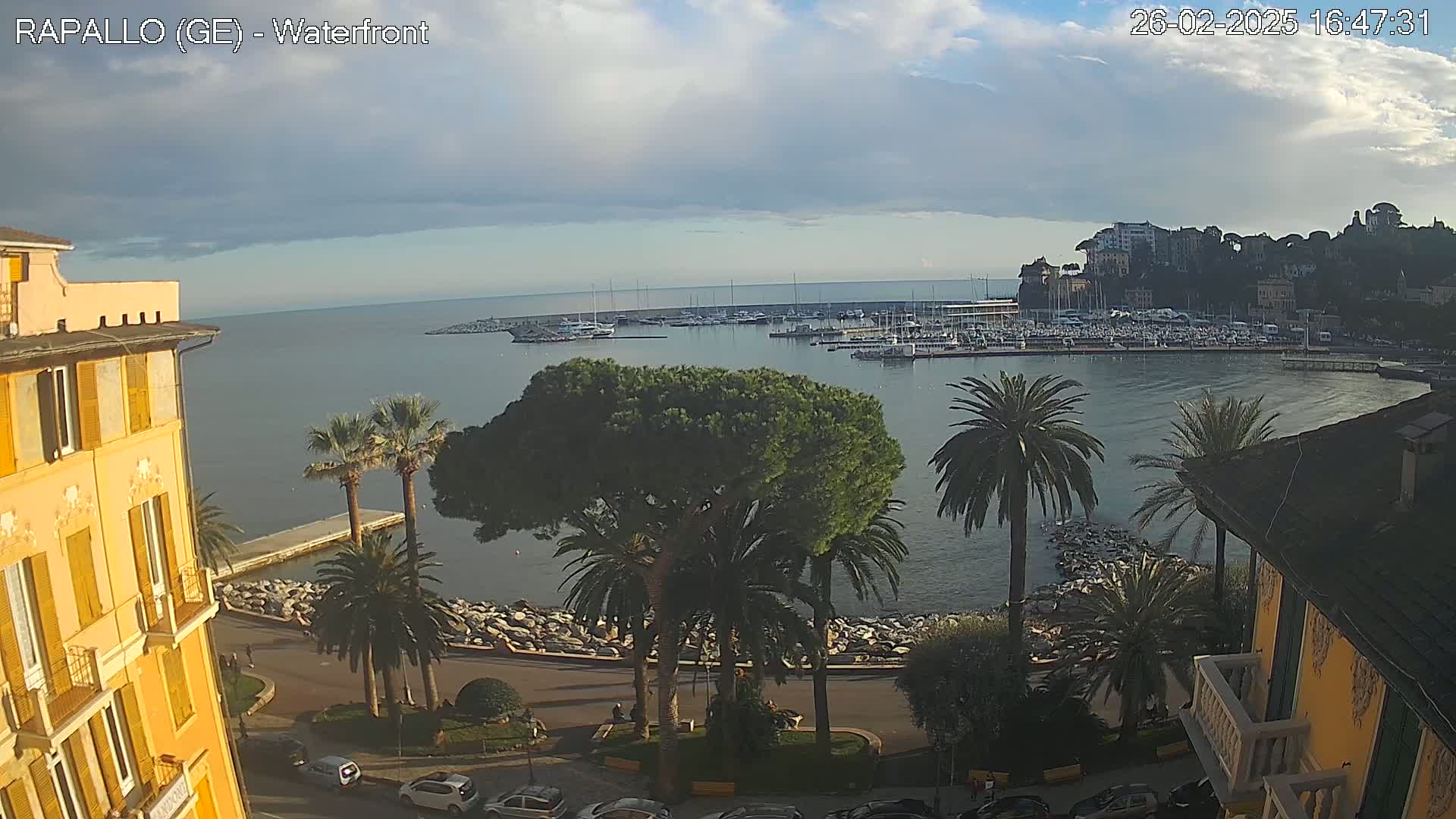 A waterfront view shows a calm sea with a harbor full of boats, palm trees lining a paved road, and buildings on a hillside under a partly cloudy sky.