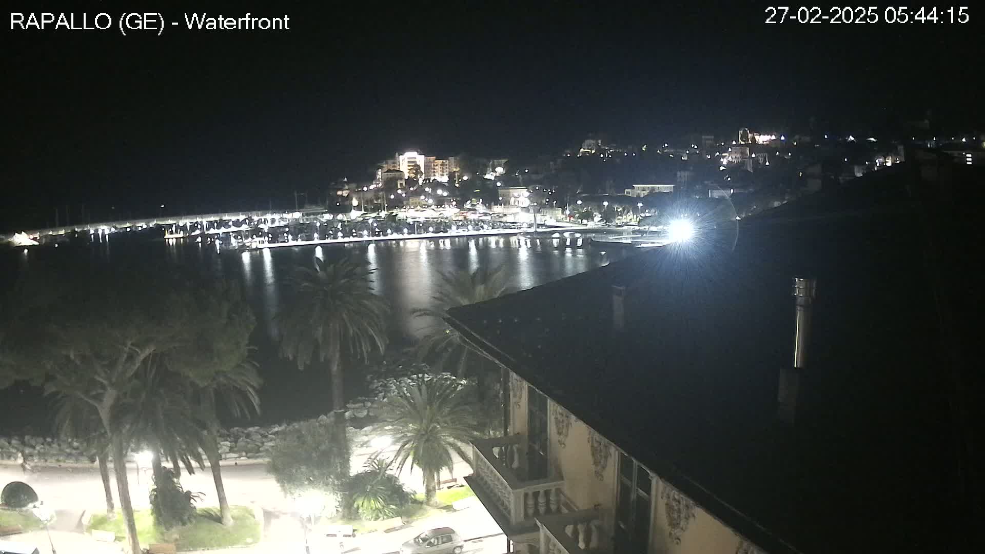 A nighttime view of a calm harbor in a city, with palm trees and buildings visible along the waterfront.