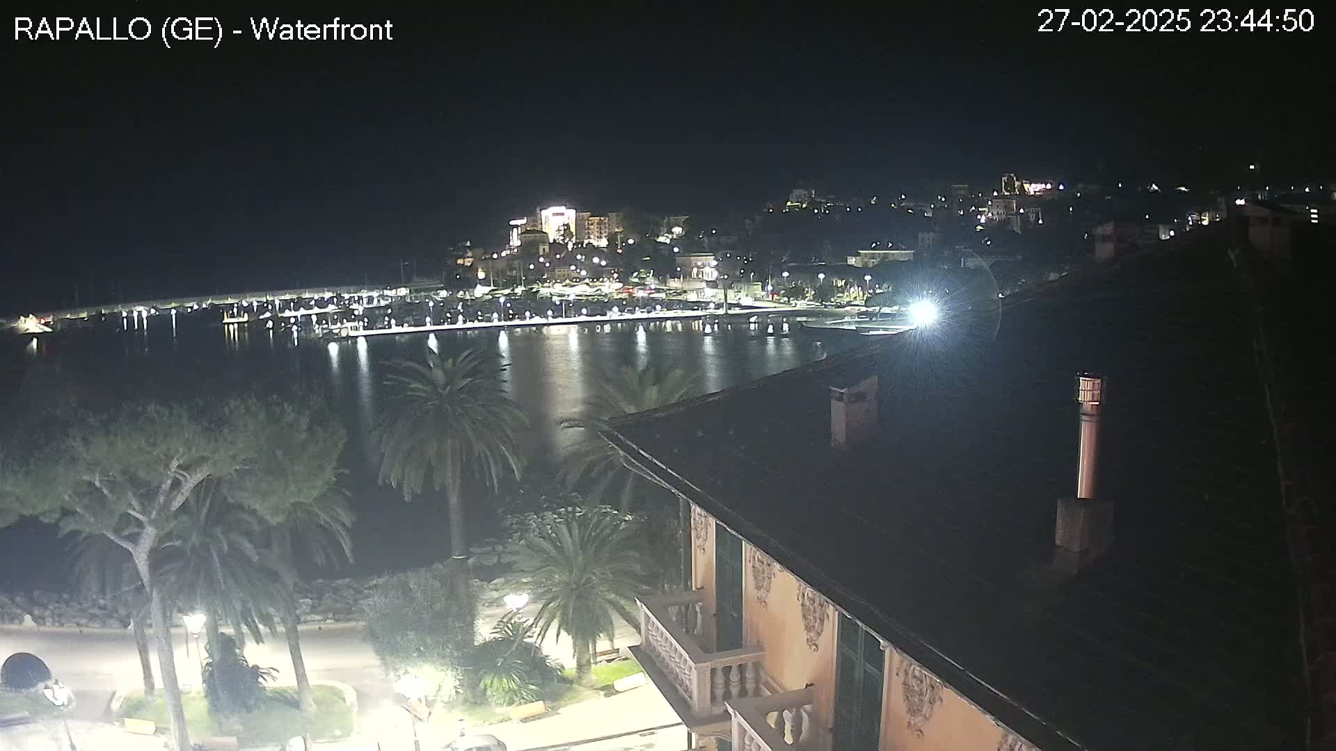 A nighttime view of a calm waterfront town with palm trees and buildings illuminated, seen from a rooftop.