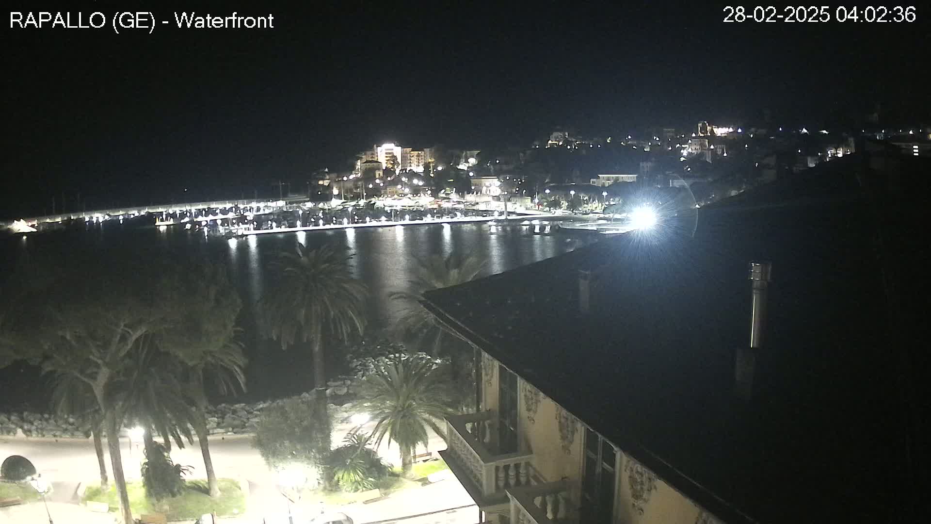 A nighttime view of a waterfront town with a harbor, palm trees, and buildings illuminated, under a clear, dark sky.