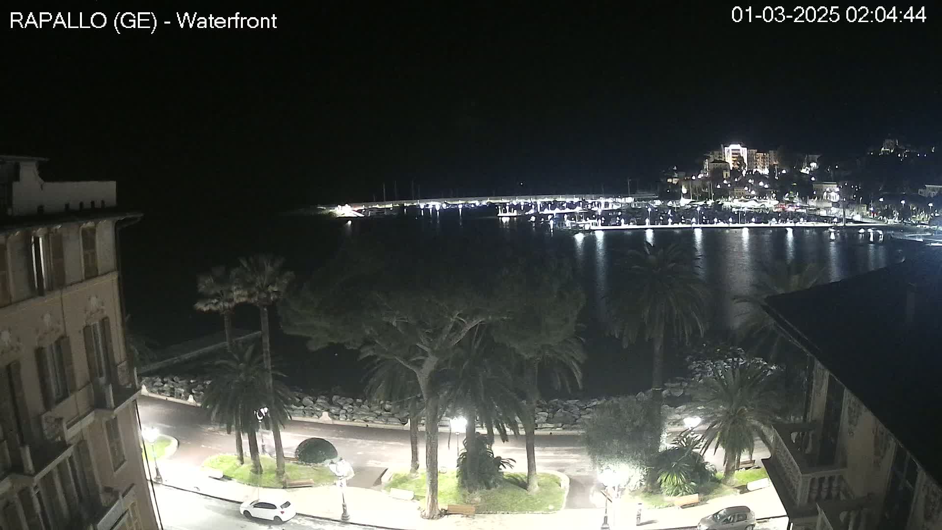 A nighttime view of a calm harbor with boats docked, lined by palm trees and buildings along a waterfront road.
