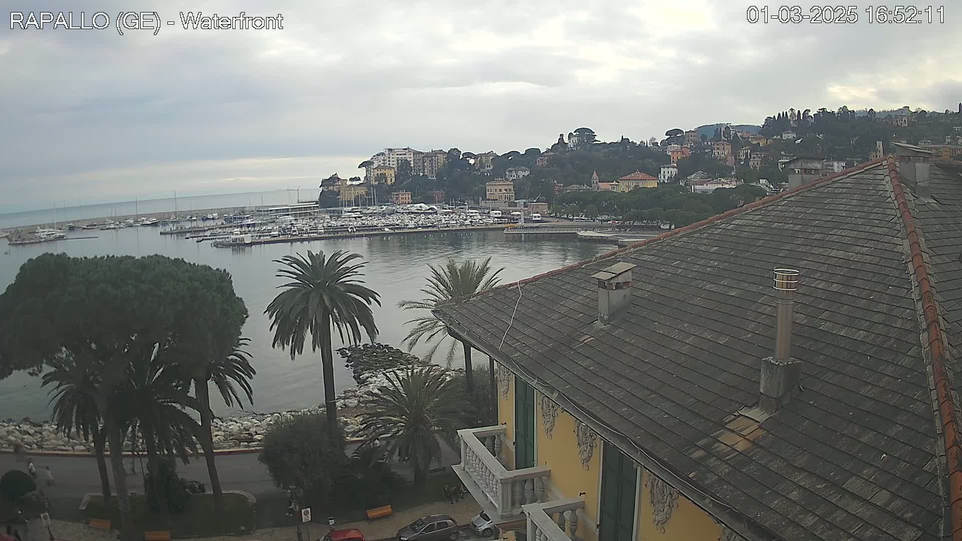 A waterfront view of a town nestled on a hillside overlooking a calm harbor filled with boats under a cloudy sky.