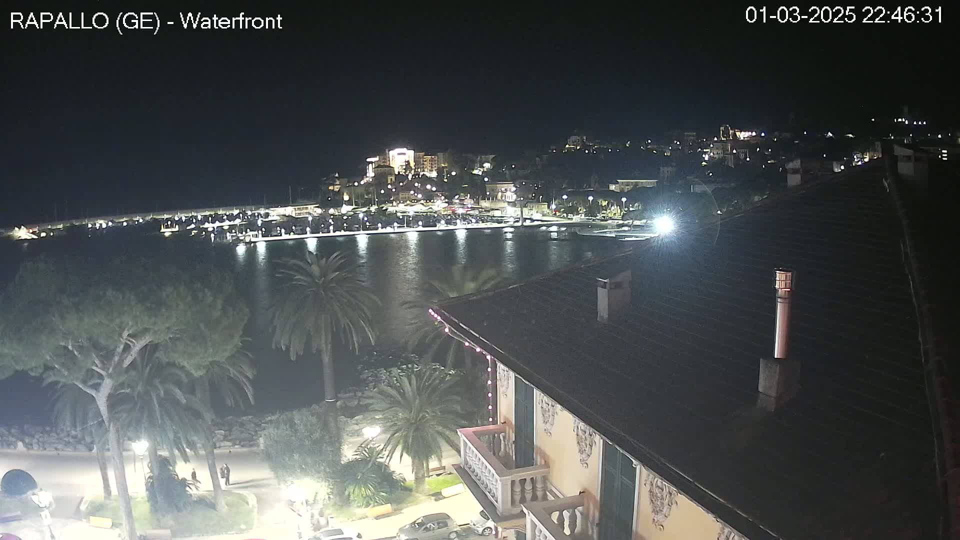 A nighttime view of a waterfront town with a harbor full of boats, illuminated buildings on a hillside, and palm trees lining a walkway seen from a rooftop vantage point.