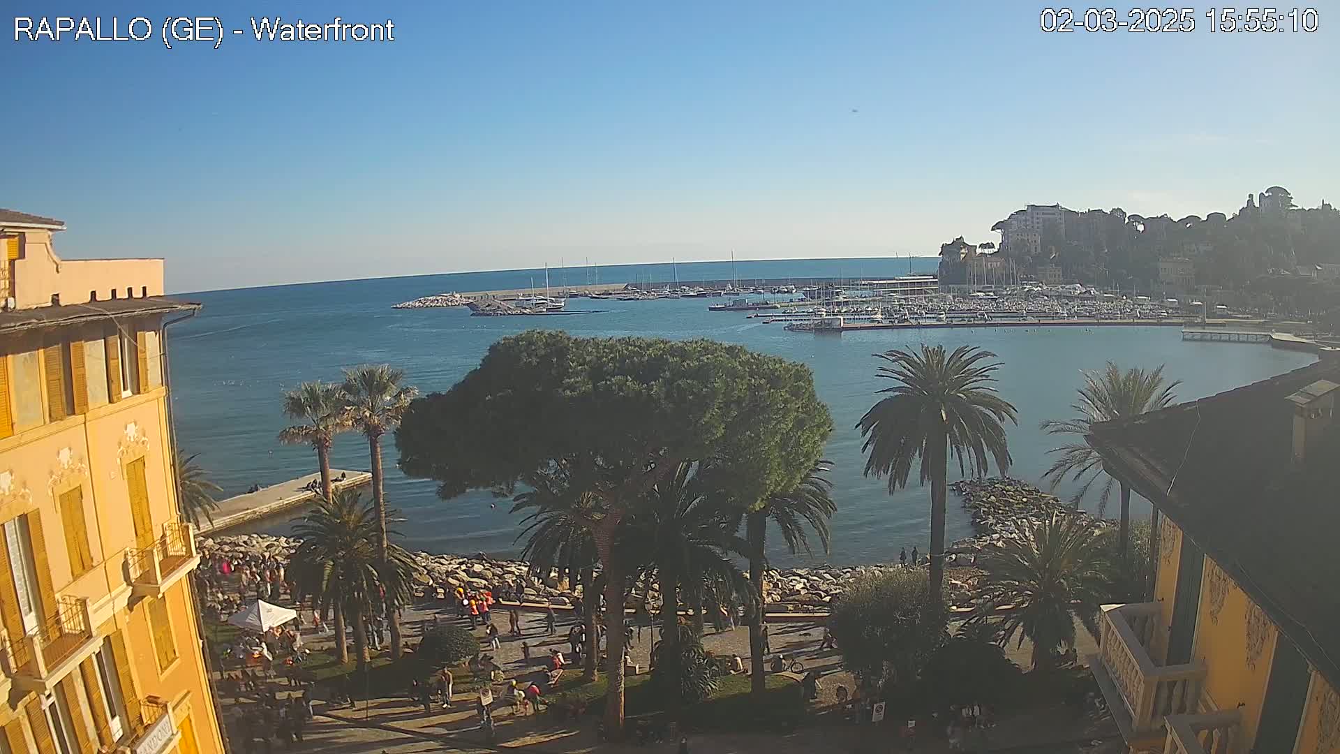 A waterfront view on a sunny day shows a calm harbor filled with boats, palm trees lining a rocky shore, and a yellow building in the foreground.