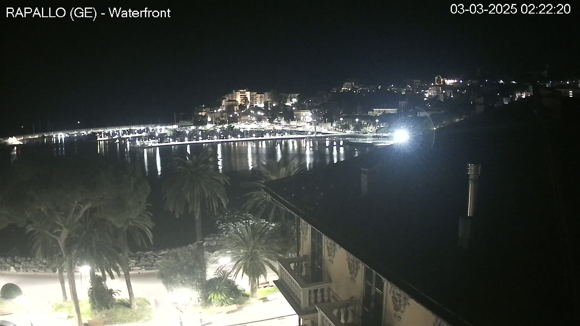 A nighttime view of a harbor town's waterfront, illuminated by lights reflecting on the calm water, with palm trees and a building in the foreground.