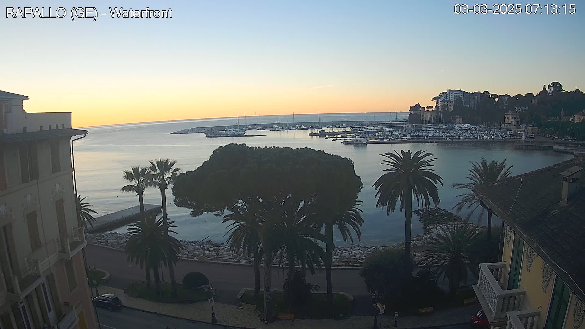 A calm harbor filled with boats at sunrise, viewed from a waterfront building amongst palm trees.