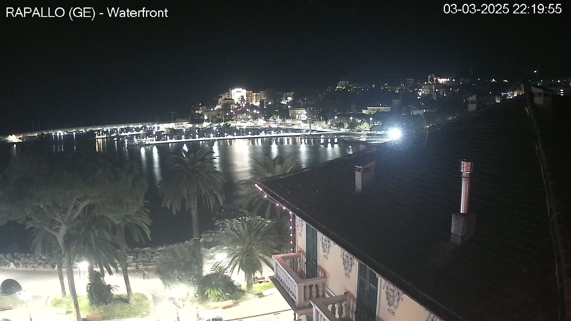A nighttime view of a calm harbor, lined with lights, in front of a hillside town, seen from a vantage point above a building with palm trees in the foreground.