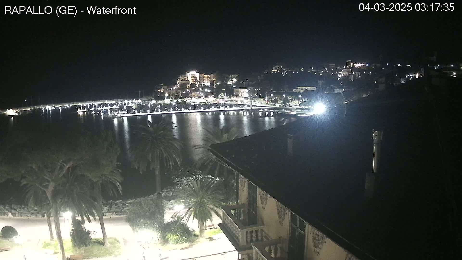 A nighttime view of a harbor town's waterfront, with palm trees lining the shore and a calm, reflective body of water.