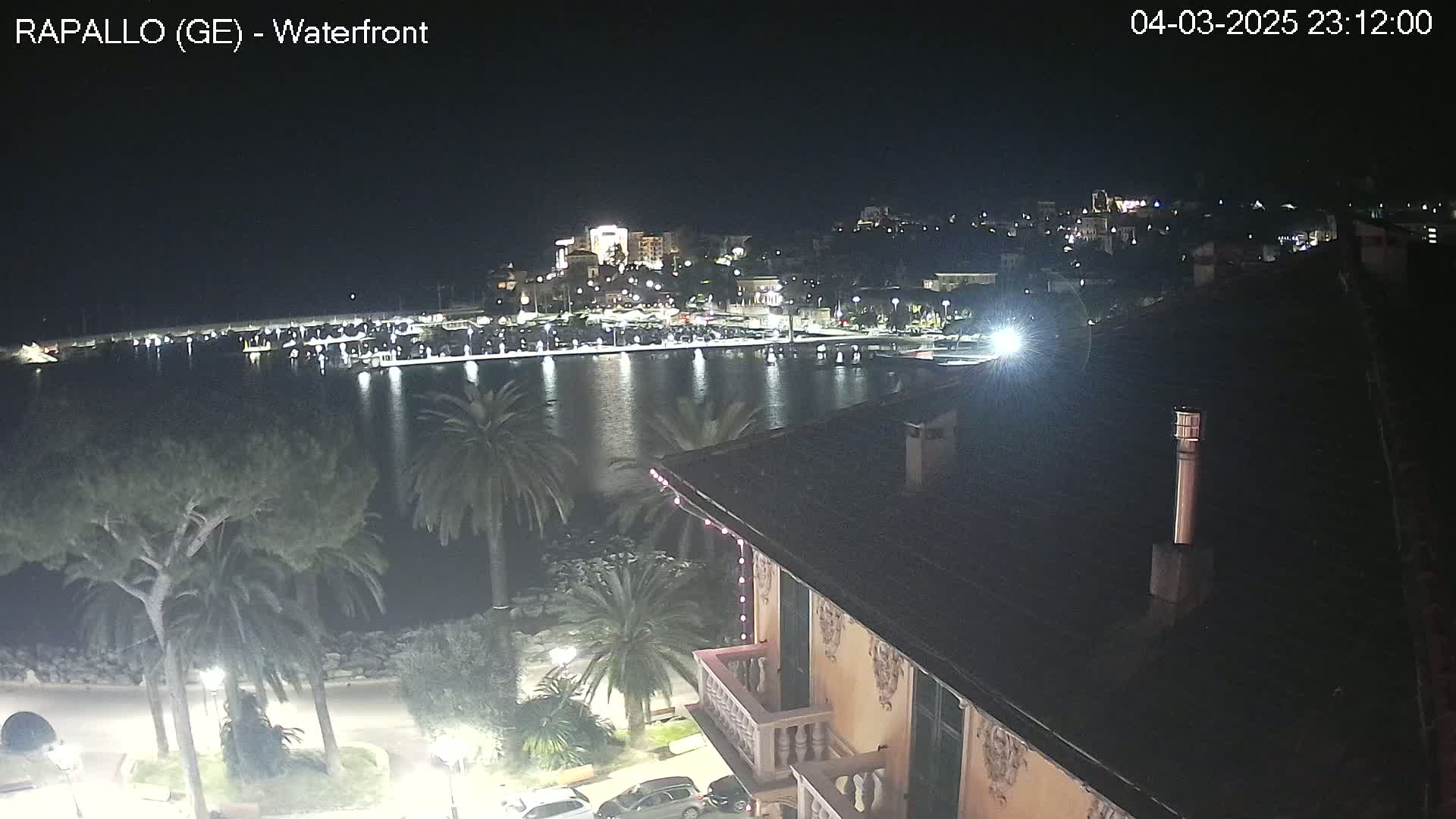 A nighttime view of a calm harbor in a town with palm trees and buildings illuminated, seen from a rooftop.