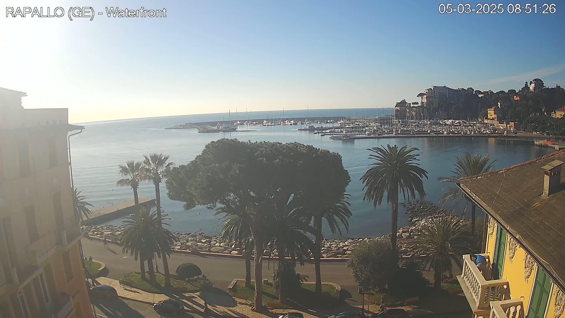 A waterfront view on a clear, sunny day shows a calm bay filled with boats, palm trees lining a curved road next to the water, and buildings on the shore.