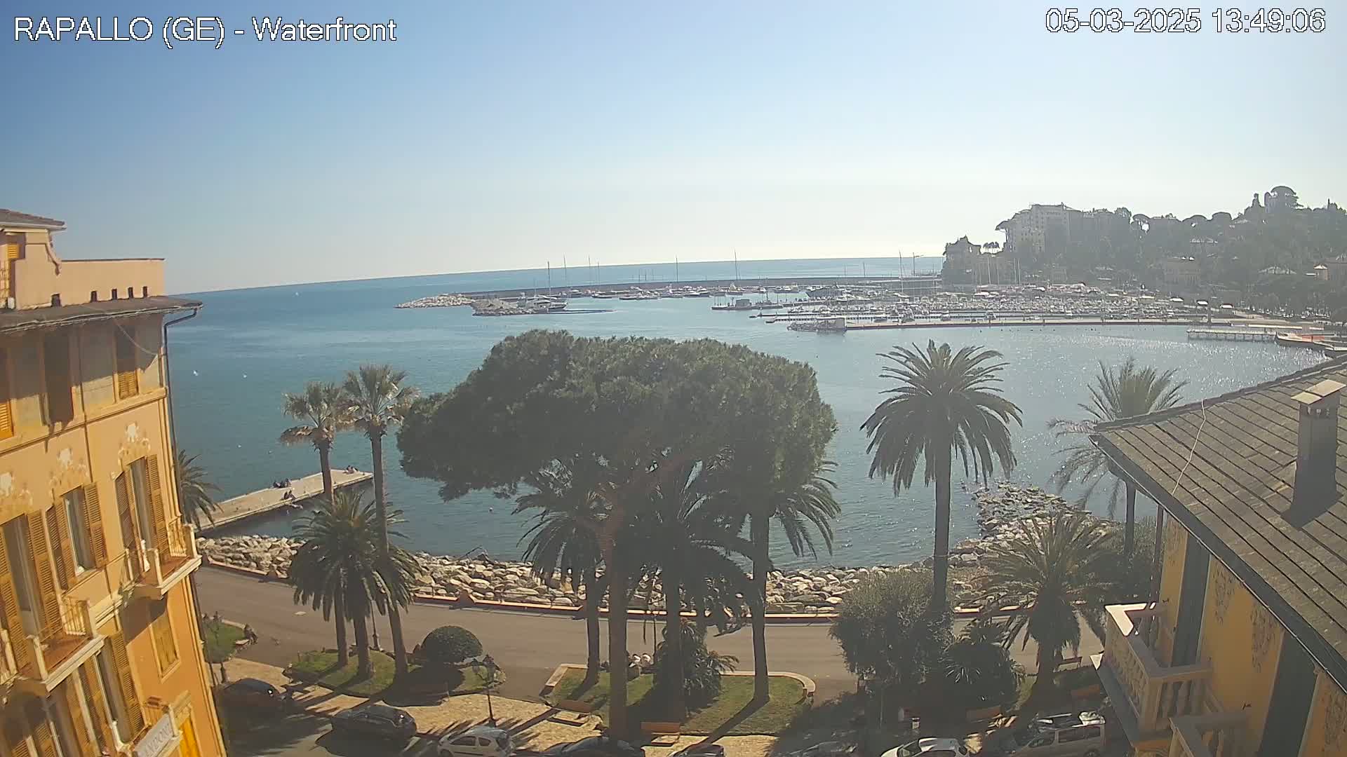 A waterfront view on a sunny day shows a harbor filled with boats, palm trees lining a paved walkway, and buildings along the shore.