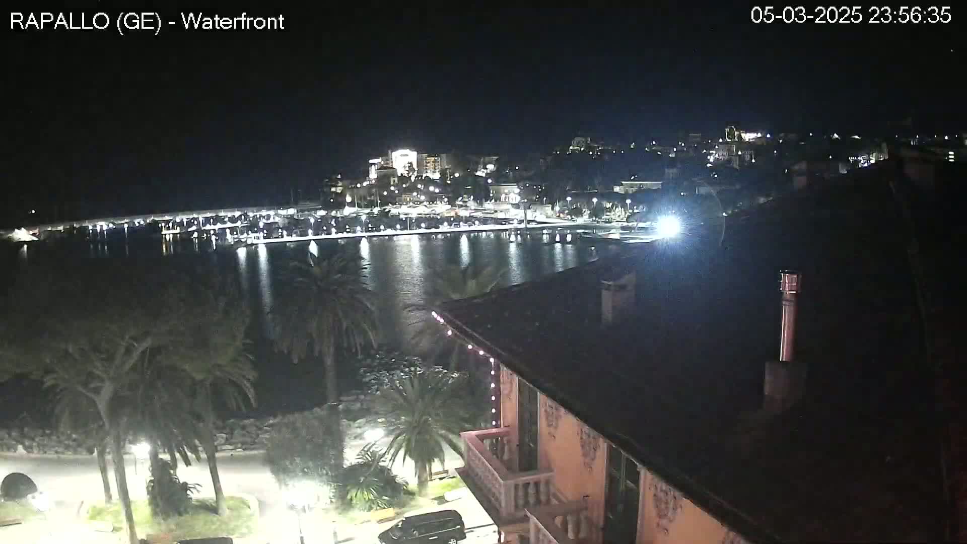 A nighttime view of a calm harbor with a town illuminated in the background, seen from a rooftop overlooking palm trees and a roadway.