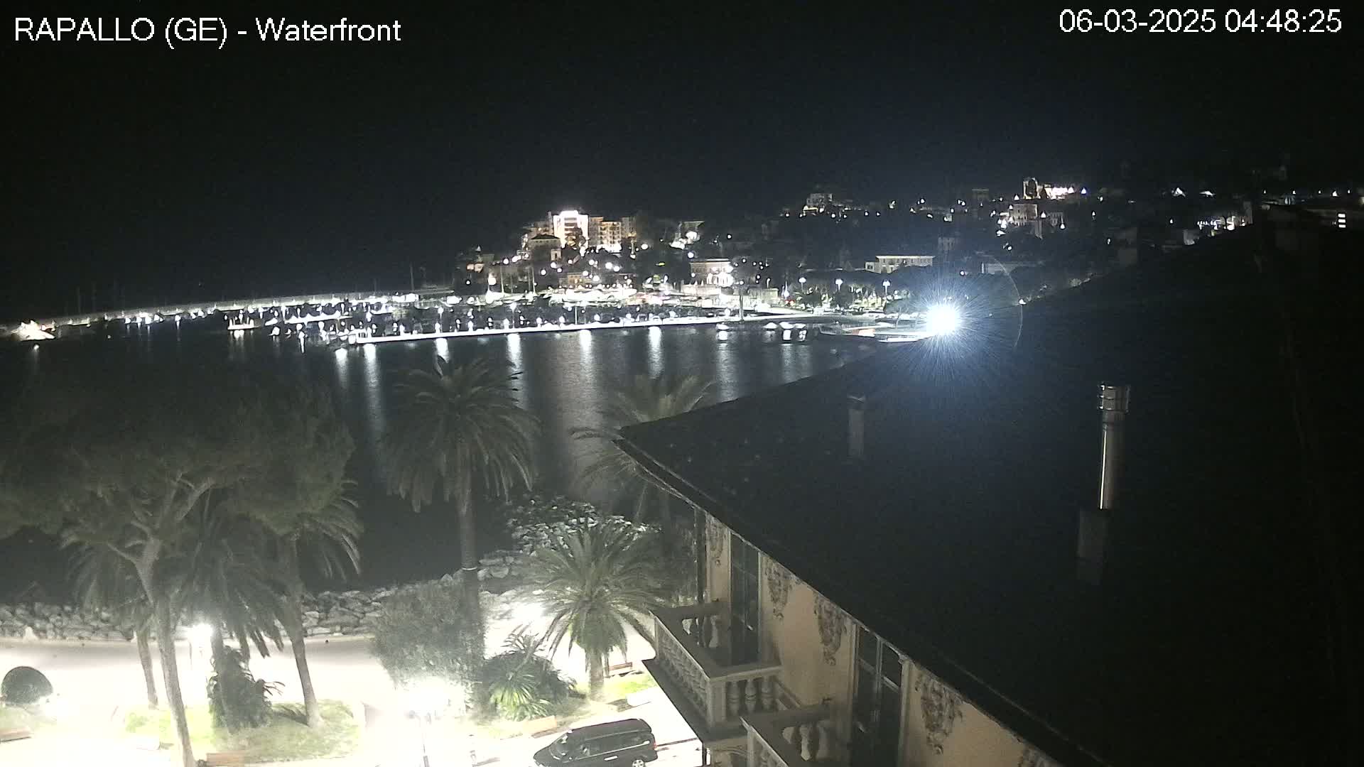 A nighttime view of a waterfront town with palm trees, a calm body of water reflecting lights, and a building in the foreground.