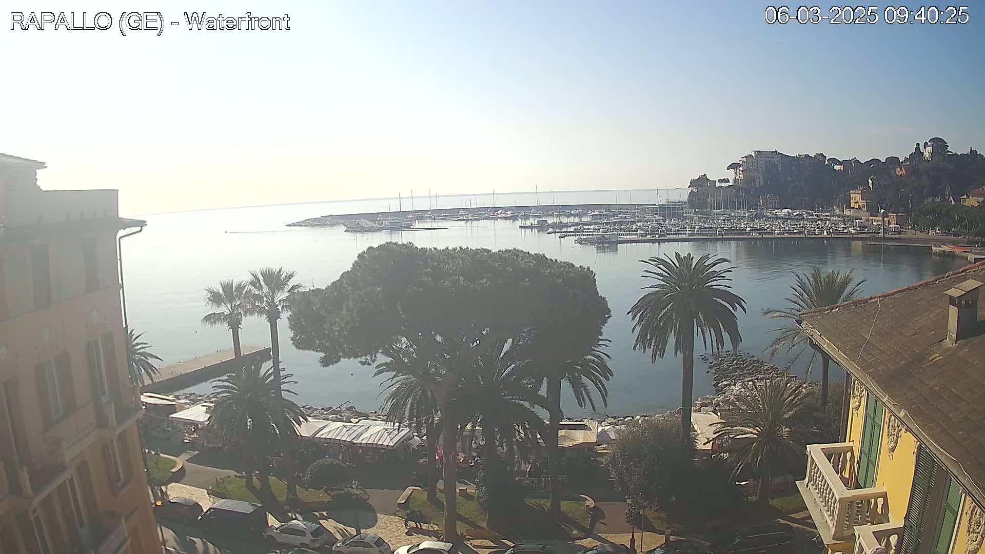 A waterfront view on a clear day shows a harbor filled with boats, palm trees, buildings, and a calm sea.