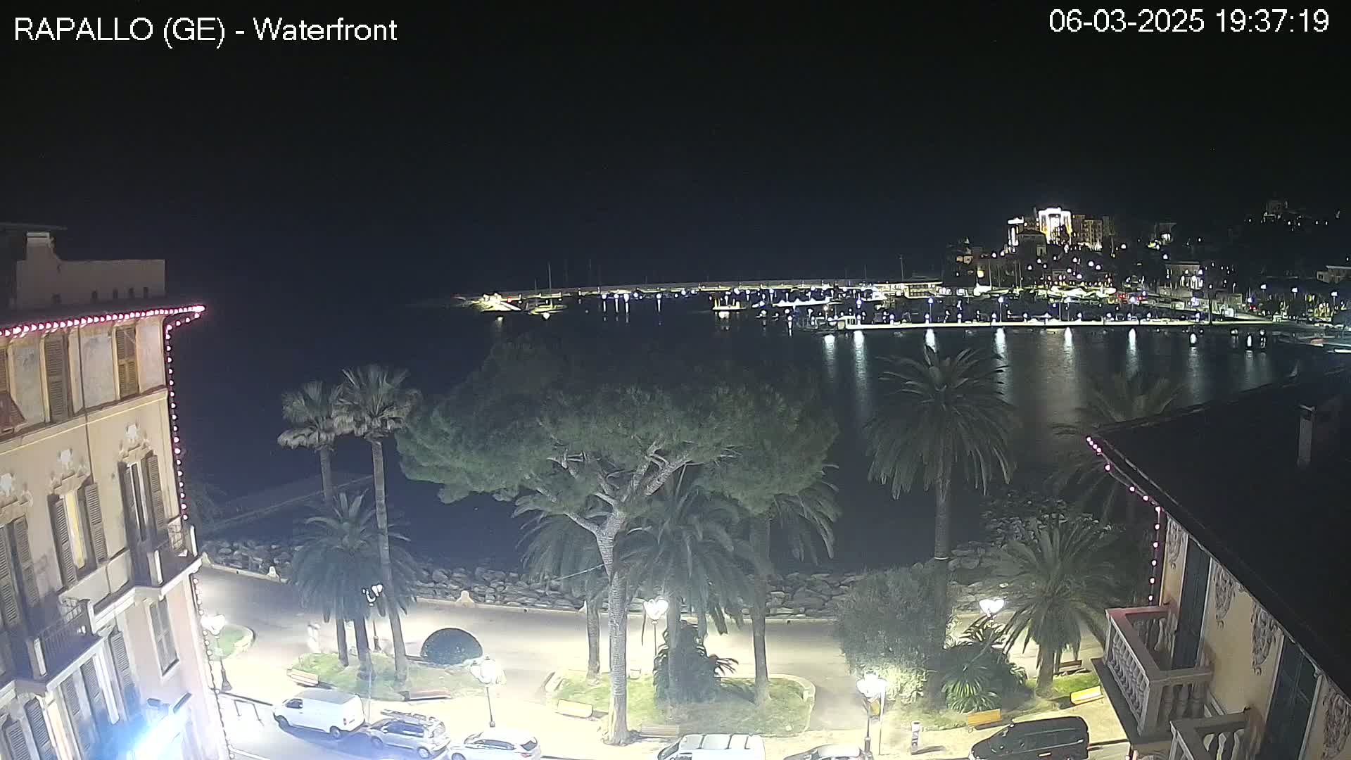 A nighttime view of a waterfront town with palm trees lining a paved walkway, cars parked along the street, and a marina with boats across the water under a clear, dark sky.