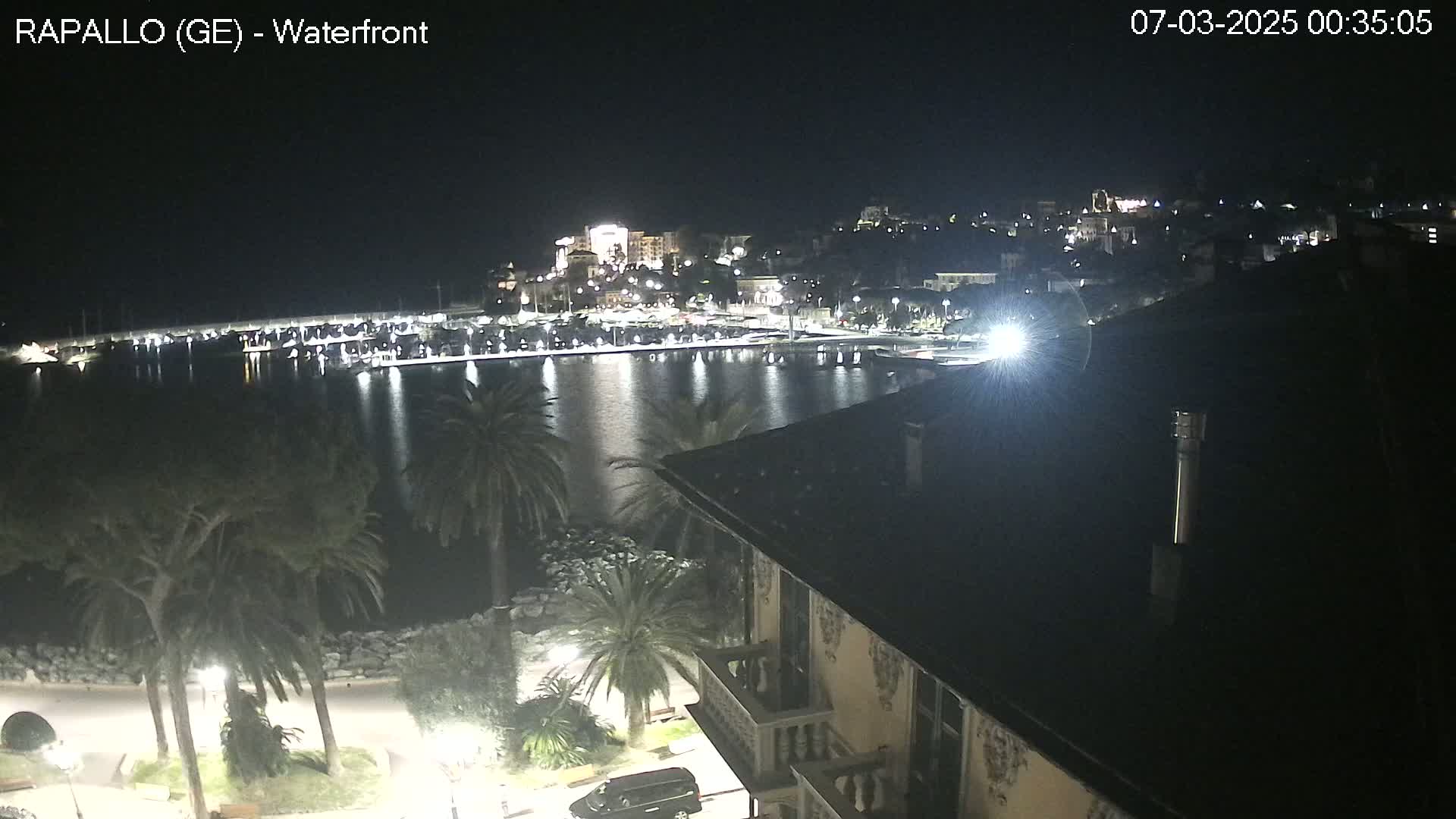 A nighttime view of a calm harbor reflecting city lights, with palm trees and a building in the foreground under a clear, dark sky.