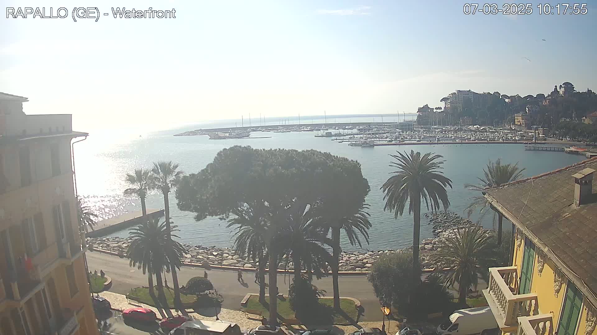 A waterfront view on a sunny day shows a harbor filled with boats, palm trees lining a seaside road, and buildings along the shore.