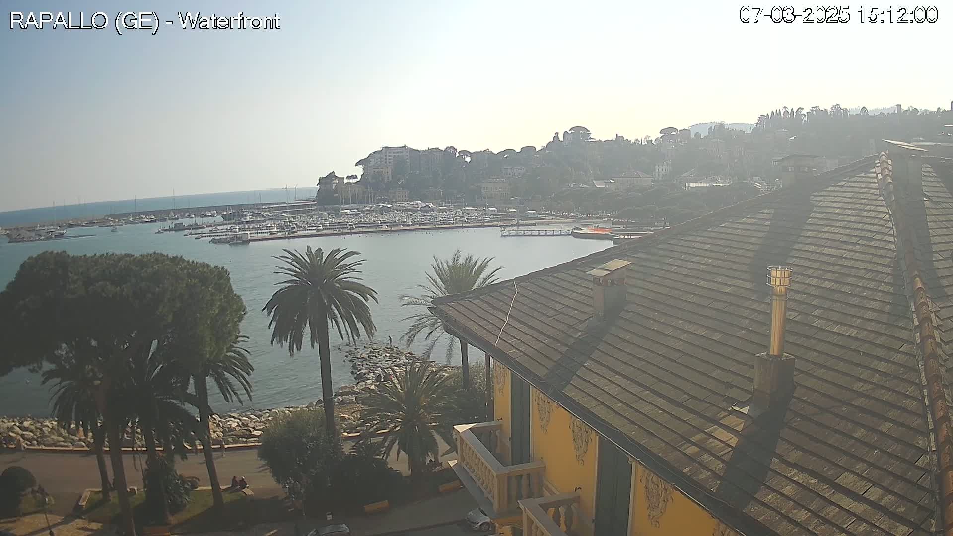 A hazy, sunny day overlooks a harbor filled with boats, a rocky shore lined with palm trees, and a town nestled on a hillside.