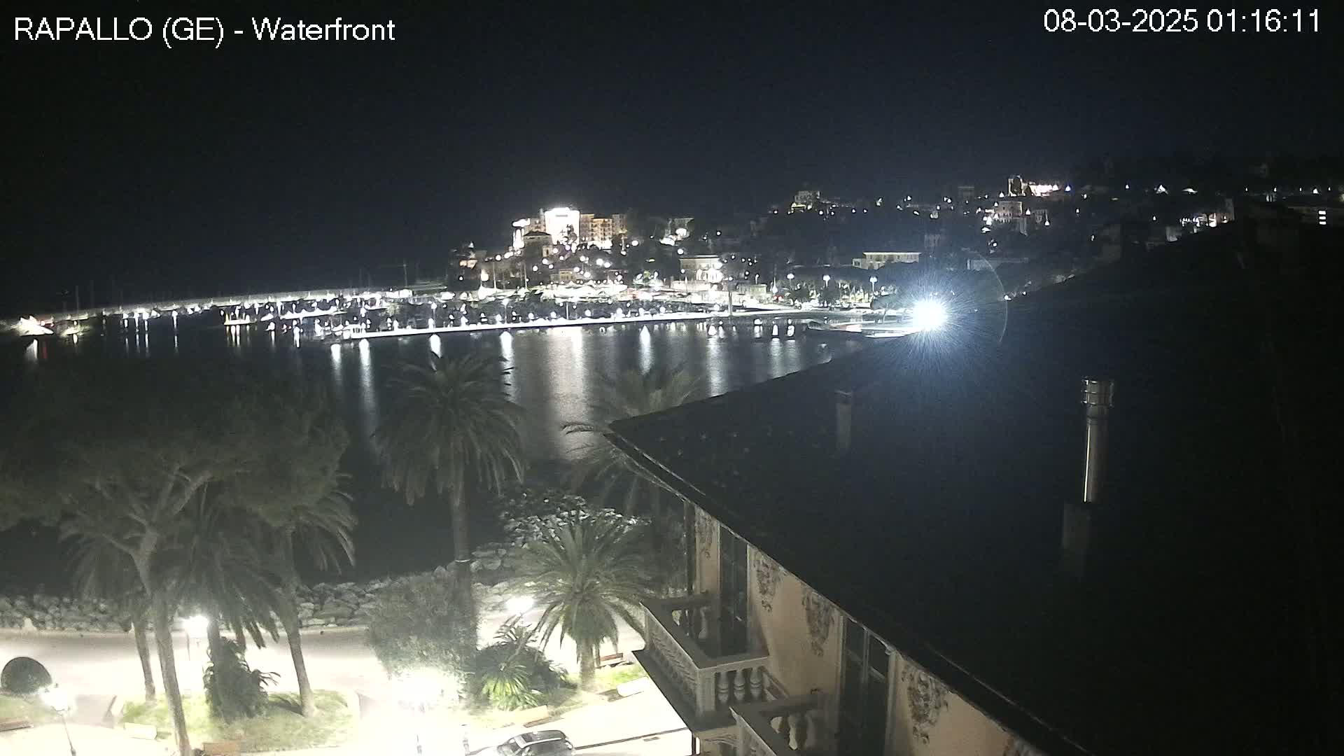 A nighttime view of a calm harbor, with illuminated buildings and palm trees on a waterfront.