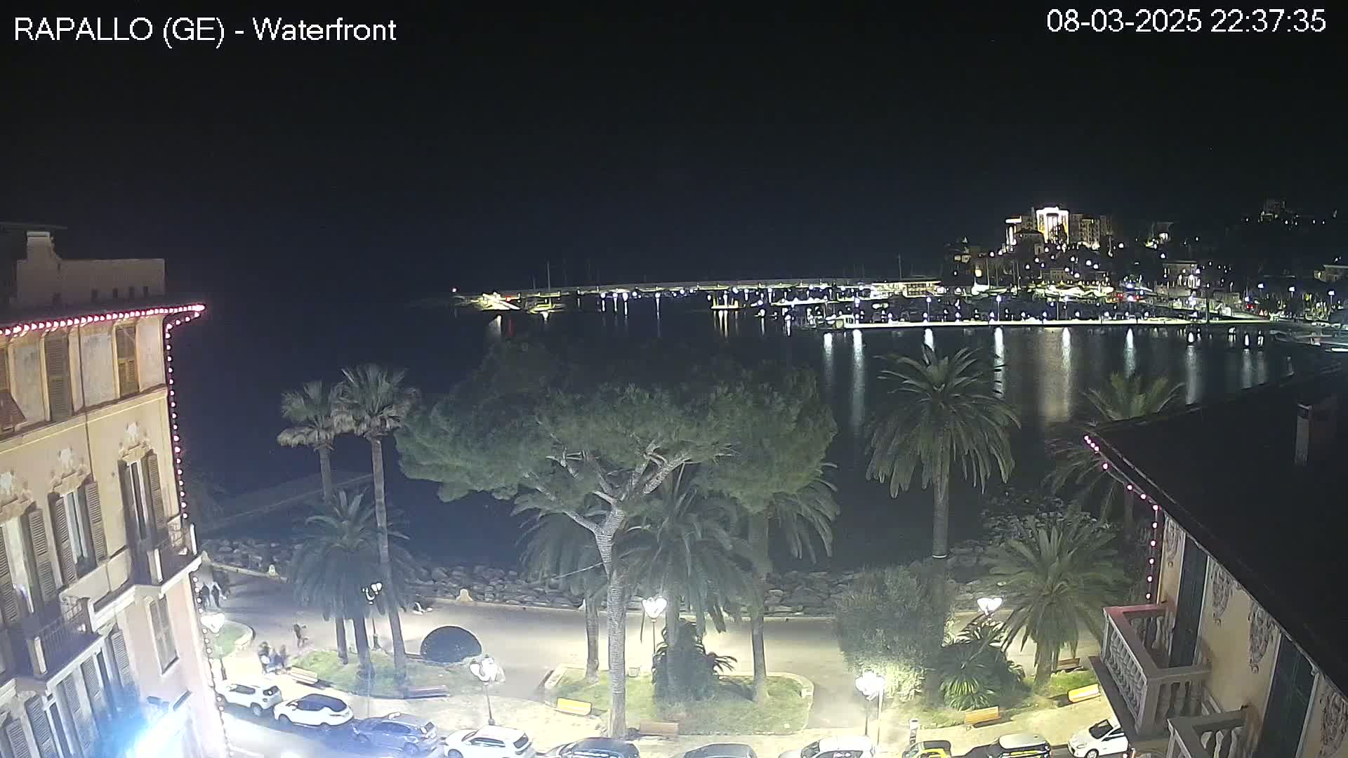 A nighttime view of a waterfront town with palm trees, buildings, and parked cars lining a calm, dark body of water, under a clear night sky.