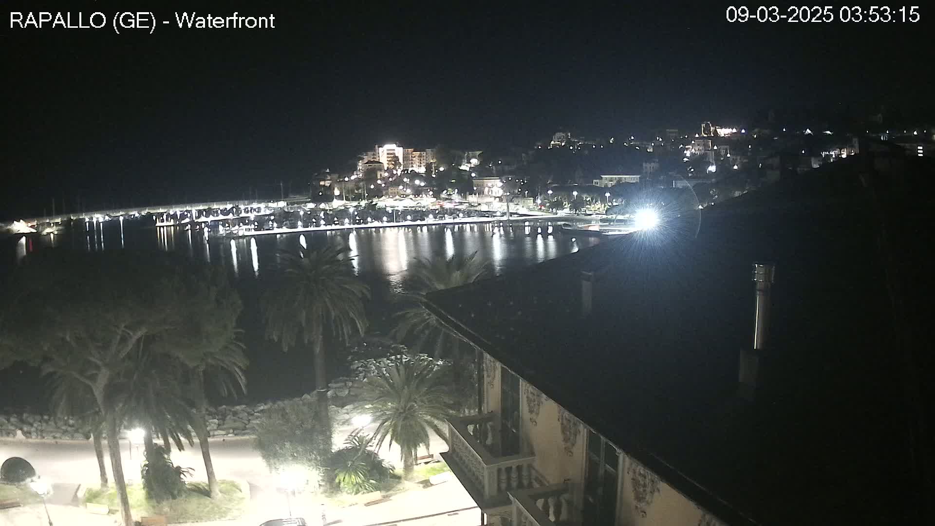 A nighttime view of a calm harbor, with lights illuminating a town nestled on a hillside, seen from an elevated position overlooking palm trees and a waterfront promenade.