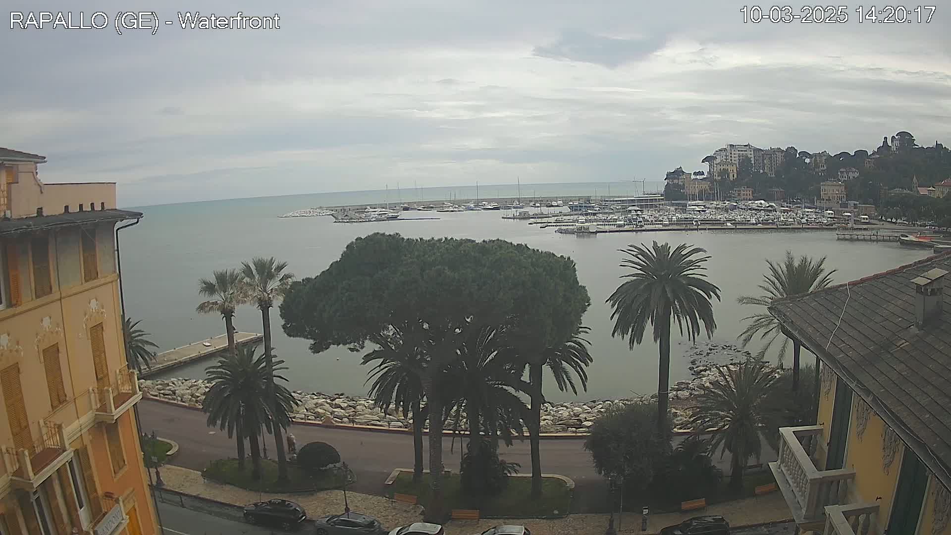 A waterfront view on an overcast day shows a calm harbor filled with boats, palm trees, and buildings along a shoreline road.