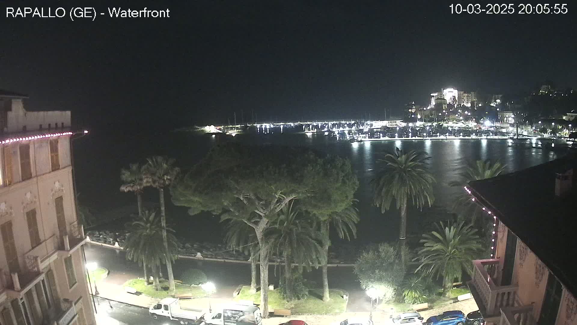 A nighttime waterfront view shows a calm harbor with boats, illuminated buildings on a hill, and palm trees lining a walkway near a building.