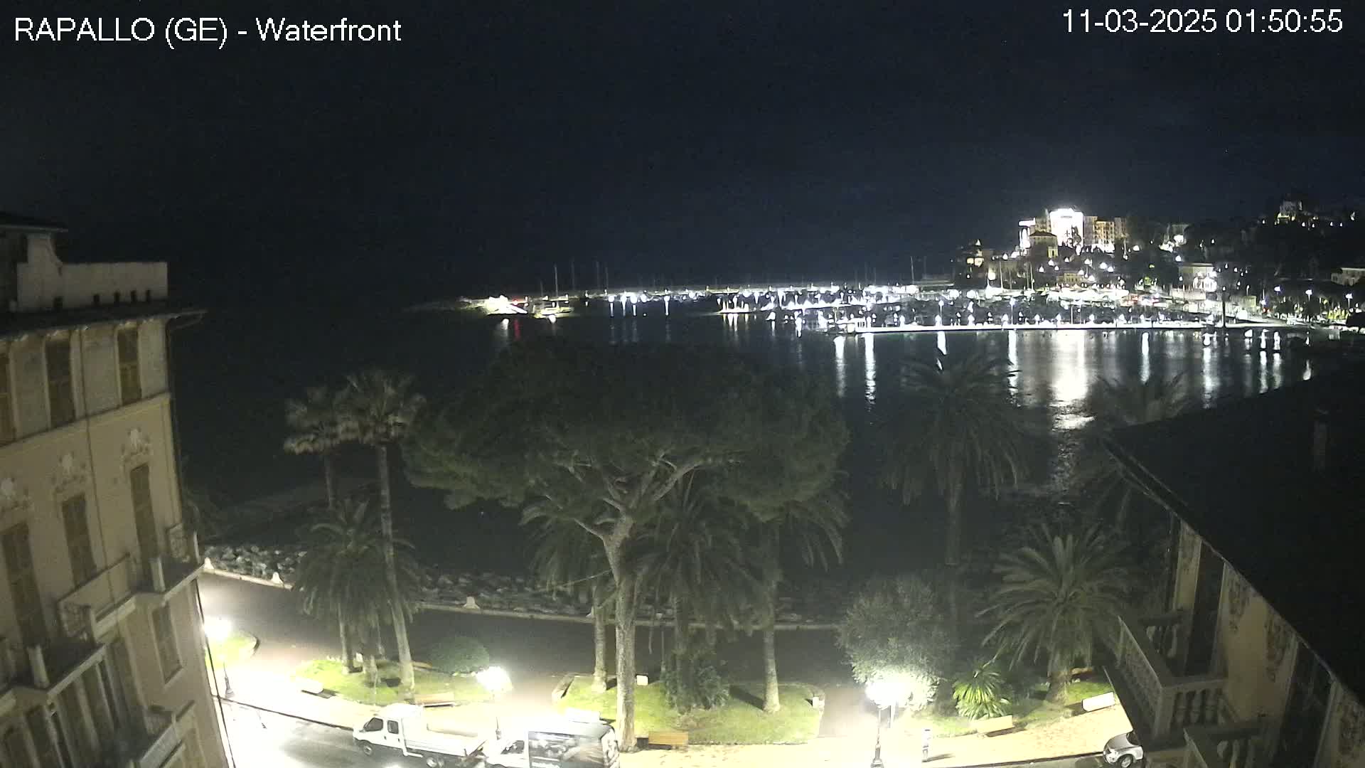 A nighttime view of a waterfront town with palm trees lining a paved walkway, overlooking a calm harbor filled with boats and illuminated buildings.