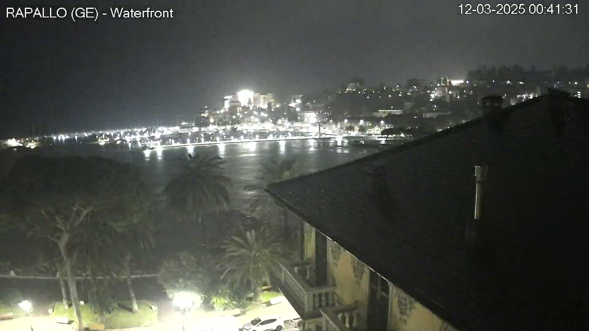 A nighttime view of a city waterfront with palm trees and a building's rooftop in the foreground, under a dark, possibly stormy sky.