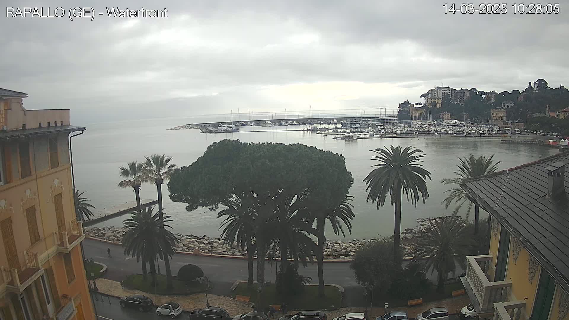 An overcast day reveals a waterfront view of a harbor filled with boats, bordered by palm trees, buildings, and a roadway.