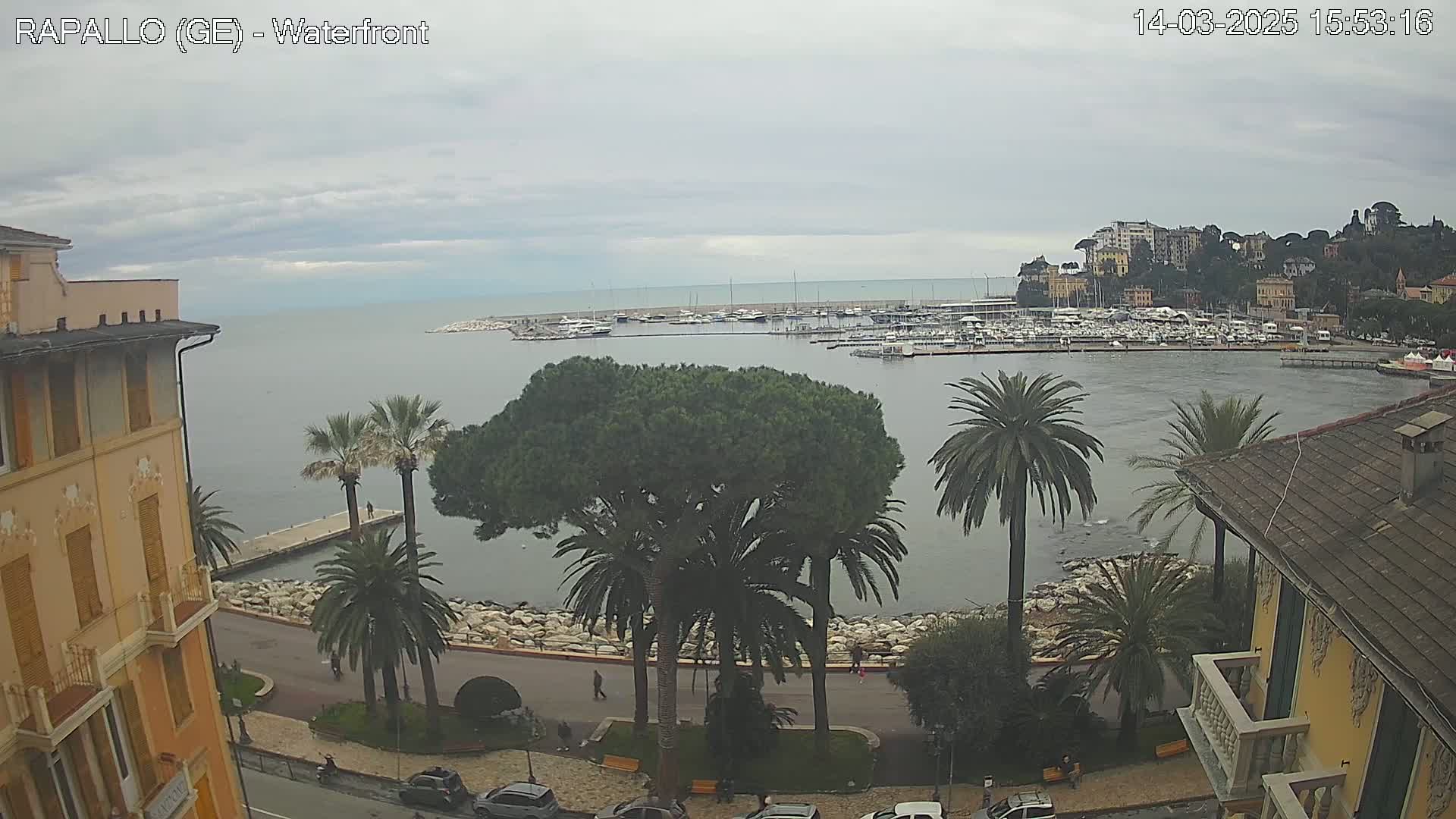 A waterfront view on an overcast day shows a calm harbor filled with boats, palm trees lining a paved walkway, and buildings along the shore.