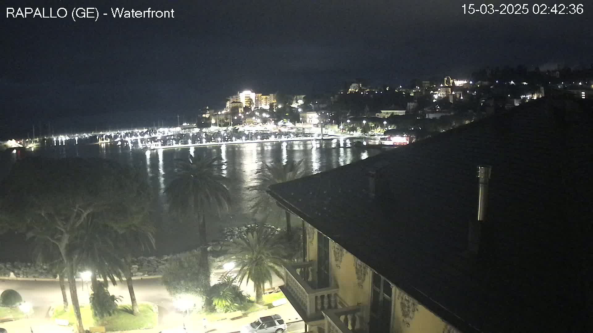 A nighttime view of a calm harbor filled with boats, a waterfront town with lights illuminating buildings, and palm trees lining a walkway, all seen from a rooftop vantage point.