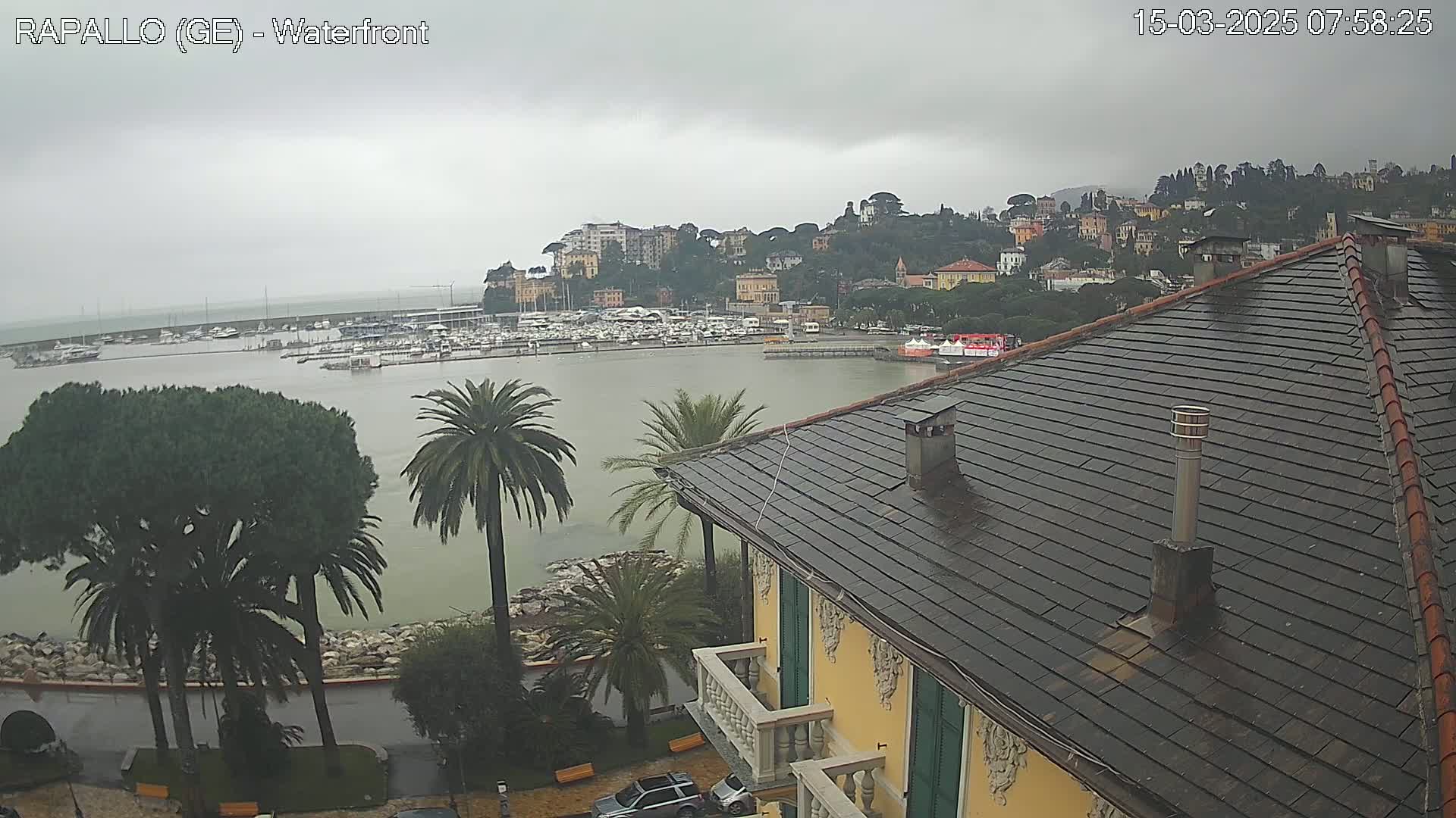 A rain-slicked waterfront town, featuring a marina filled with boats, is viewed from atop a building with a dark-tiled roof, under an overcast sky.