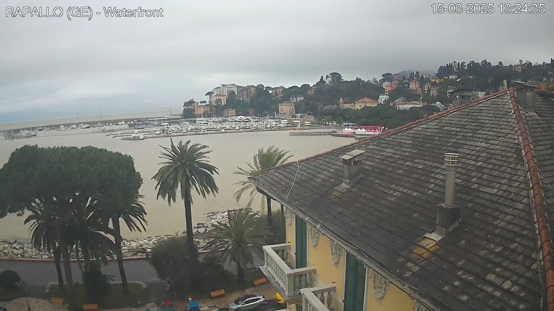 A view from a building's rooftop shows a harbor filled with boats, a town on a hillside under an overcast sky, and palm trees in the foreground.