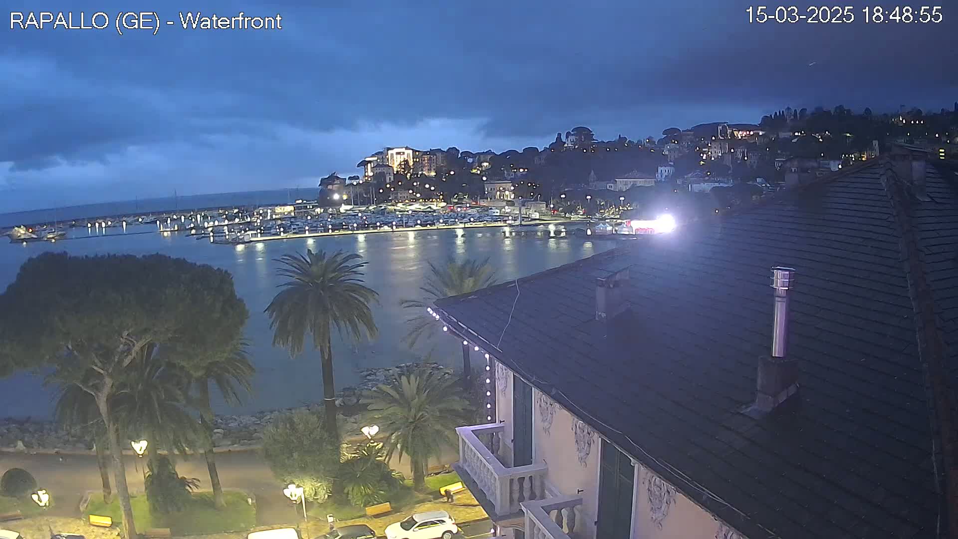 A nighttime view of a harbor filled with boats, a town lit up on a hillside, and palm trees lining a waterfront promenade under a cloudy sky.