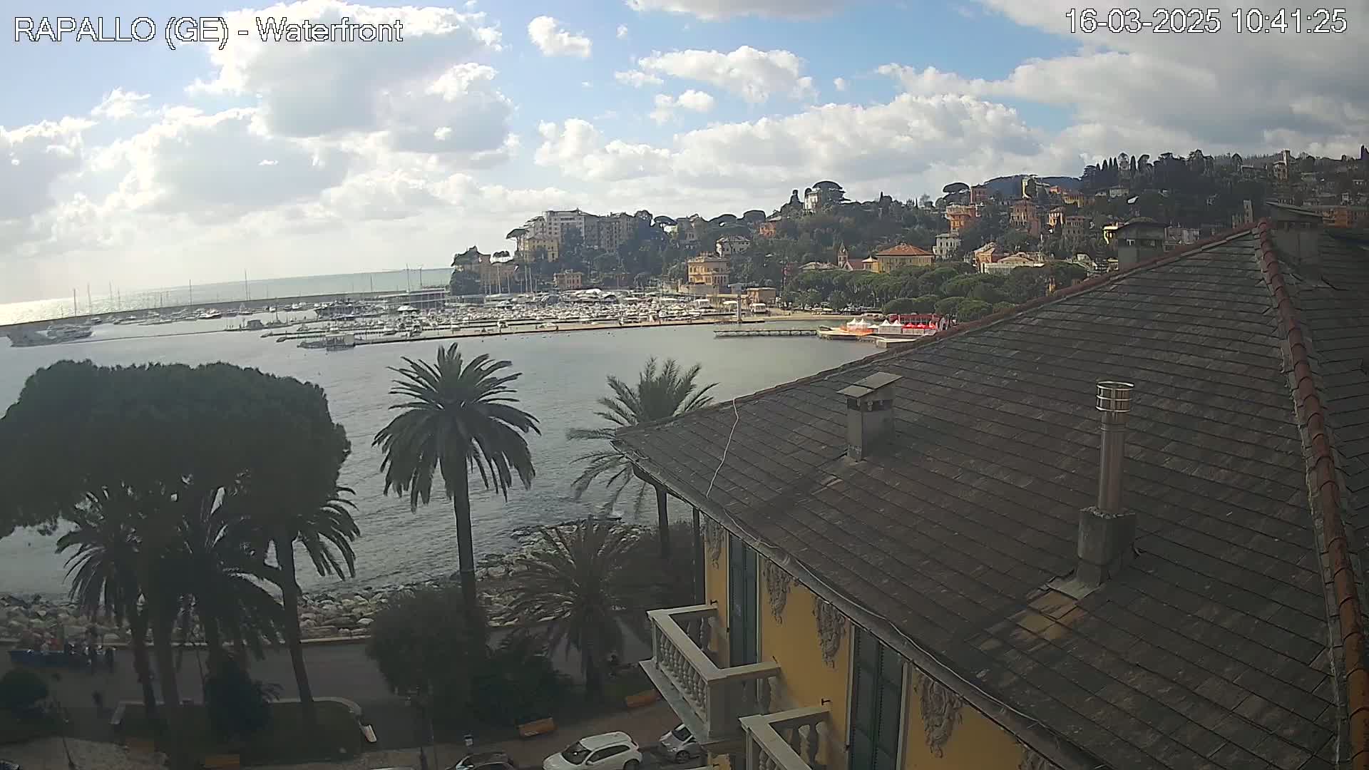 A partly cloudy day reveals a waterfront town nestled on a hillside overlooking a calm harbor filled with boats, with palm trees and a building's roof in the foreground.
