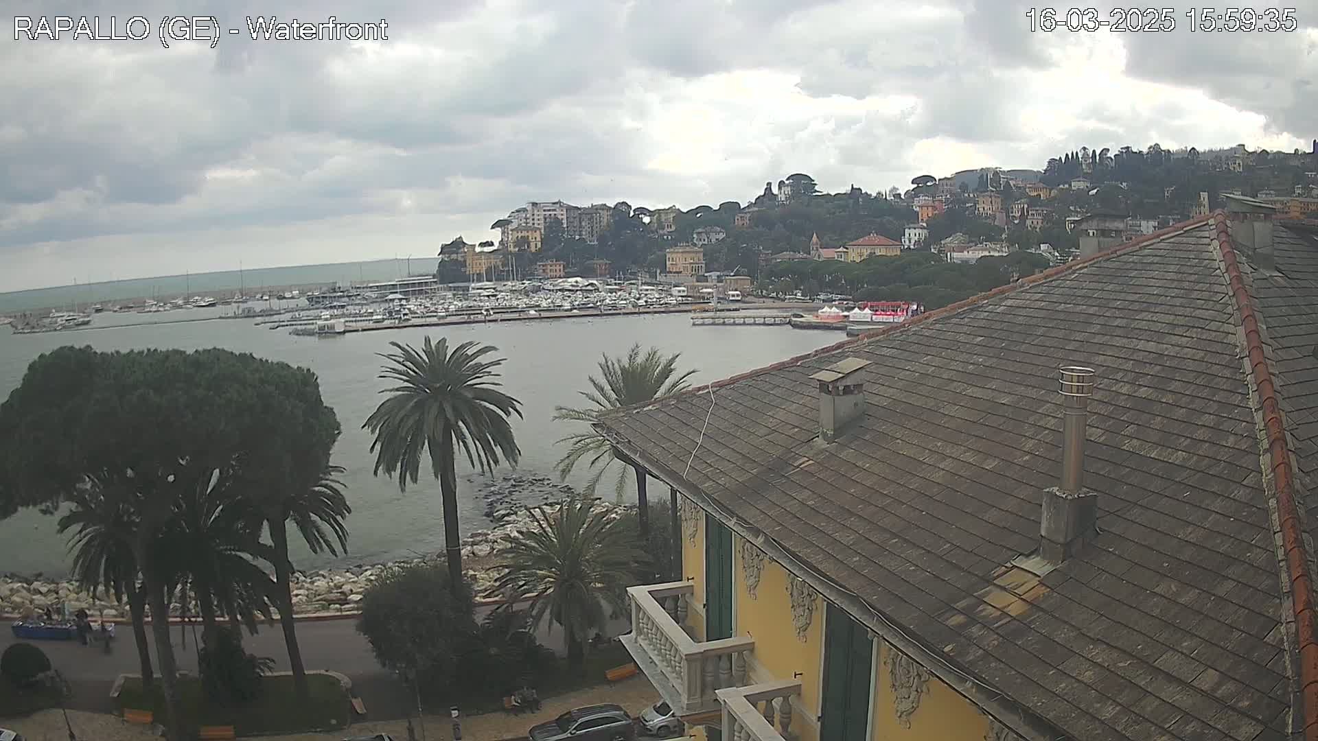 A view from a building's rooftop shows a harbor filled with boats, a waterfront lined with palm trees and buildings, and a cloudy sky.